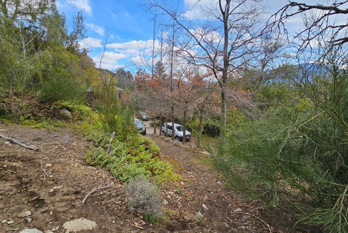 LOTE DE 8.6 HA + PROPIEDAD