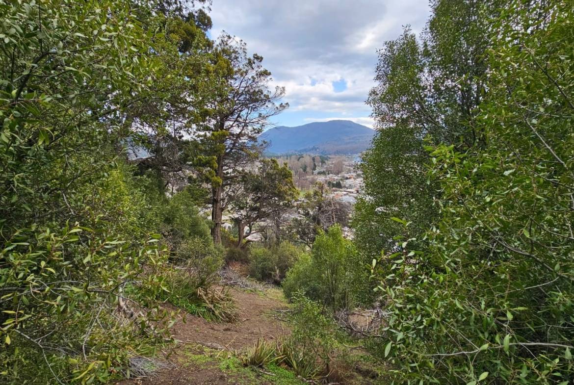 LOTE DE 8.6 HA + PROPIEDAD