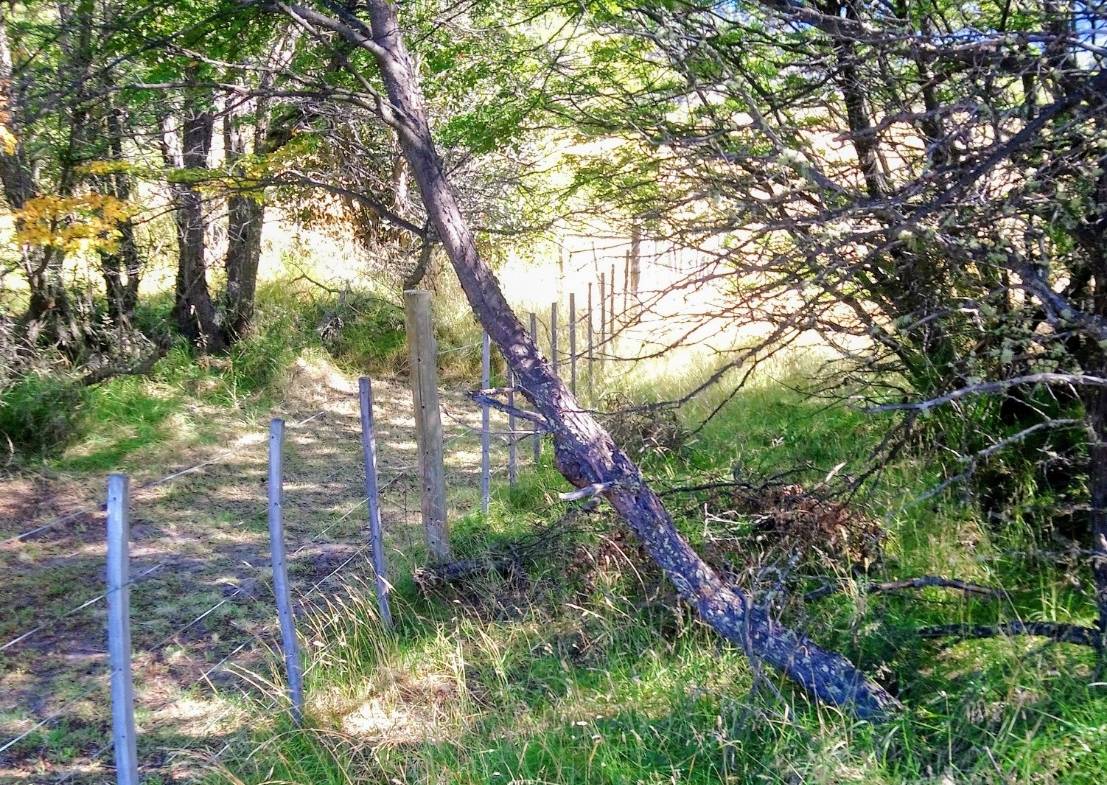 lote terreno en venta en villa meliquina san martin de los andes neuquen patagonia argentina