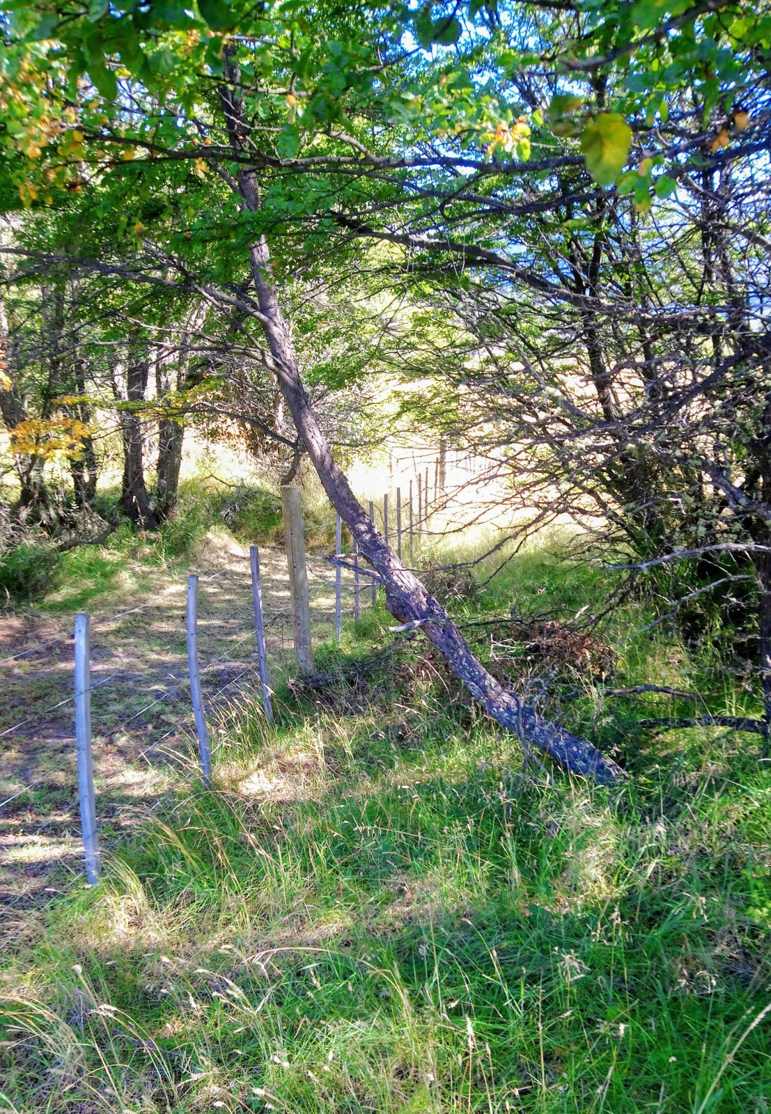 lote terreno en venta en villa meliquina san martin de los andes neuquen patagonia argentina