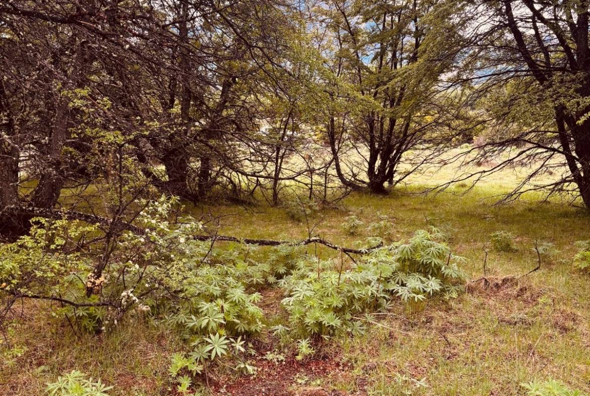 lote terreno en venta en villa meliquina san martin de los andes neuquen patagonia argentina