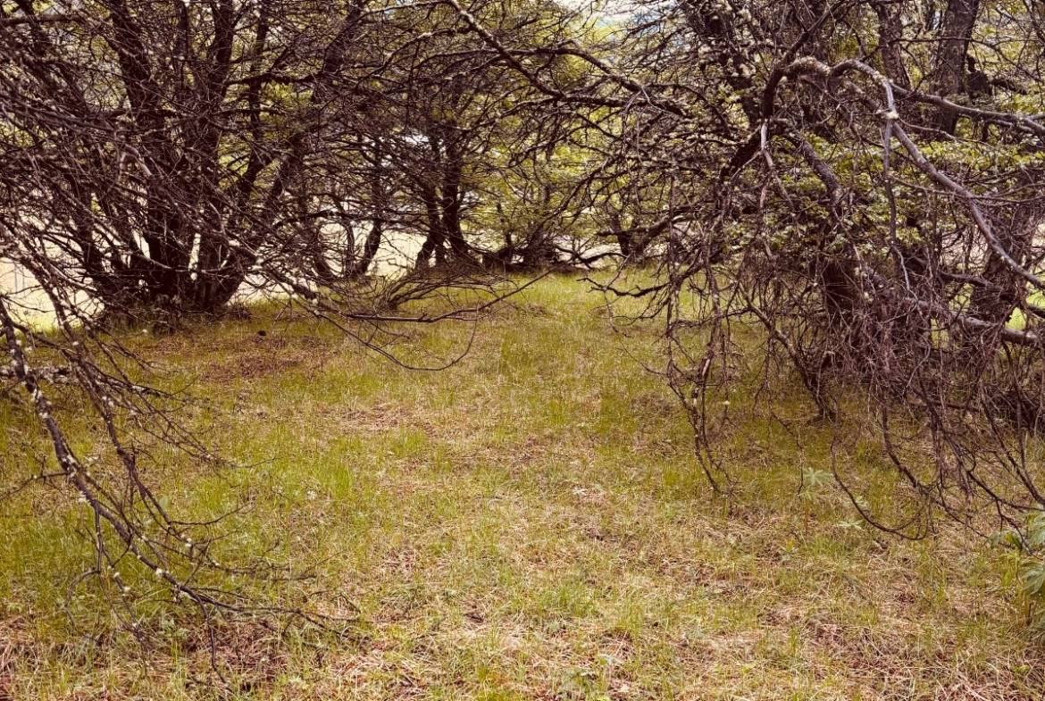 lote terreno en venta en villa meliquina san martin de los andes neuquen patagonia argentina