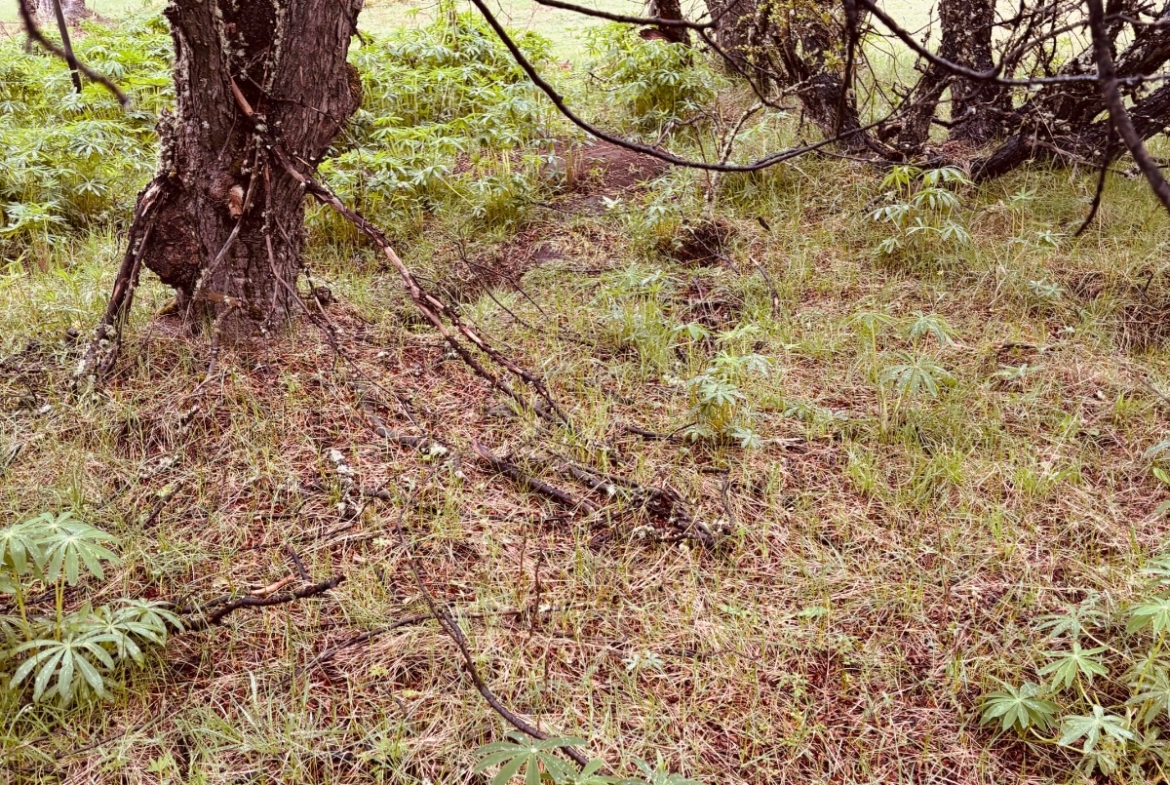 lote terreno en venta en villa meliquina san martin de los andes neuquen patagonia argentina