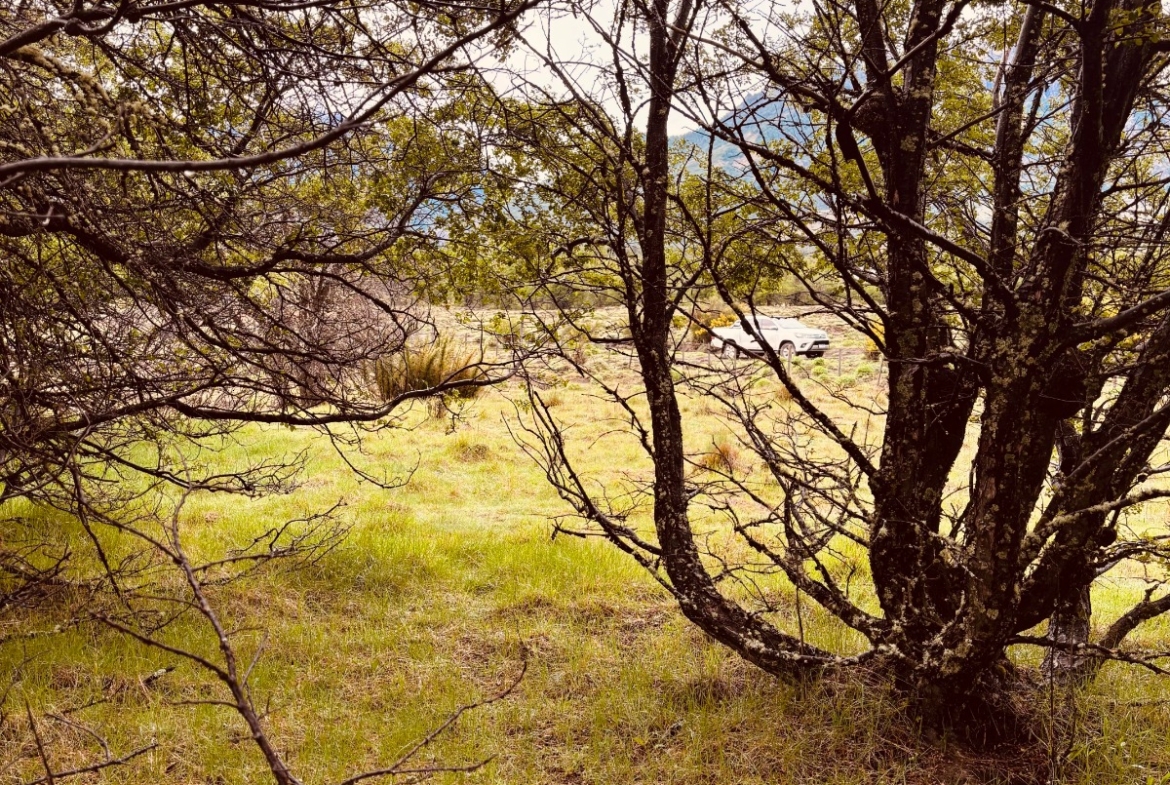 lote terreno en venta en villa meliquina san martin de los andes neuquen patagonia argentina
