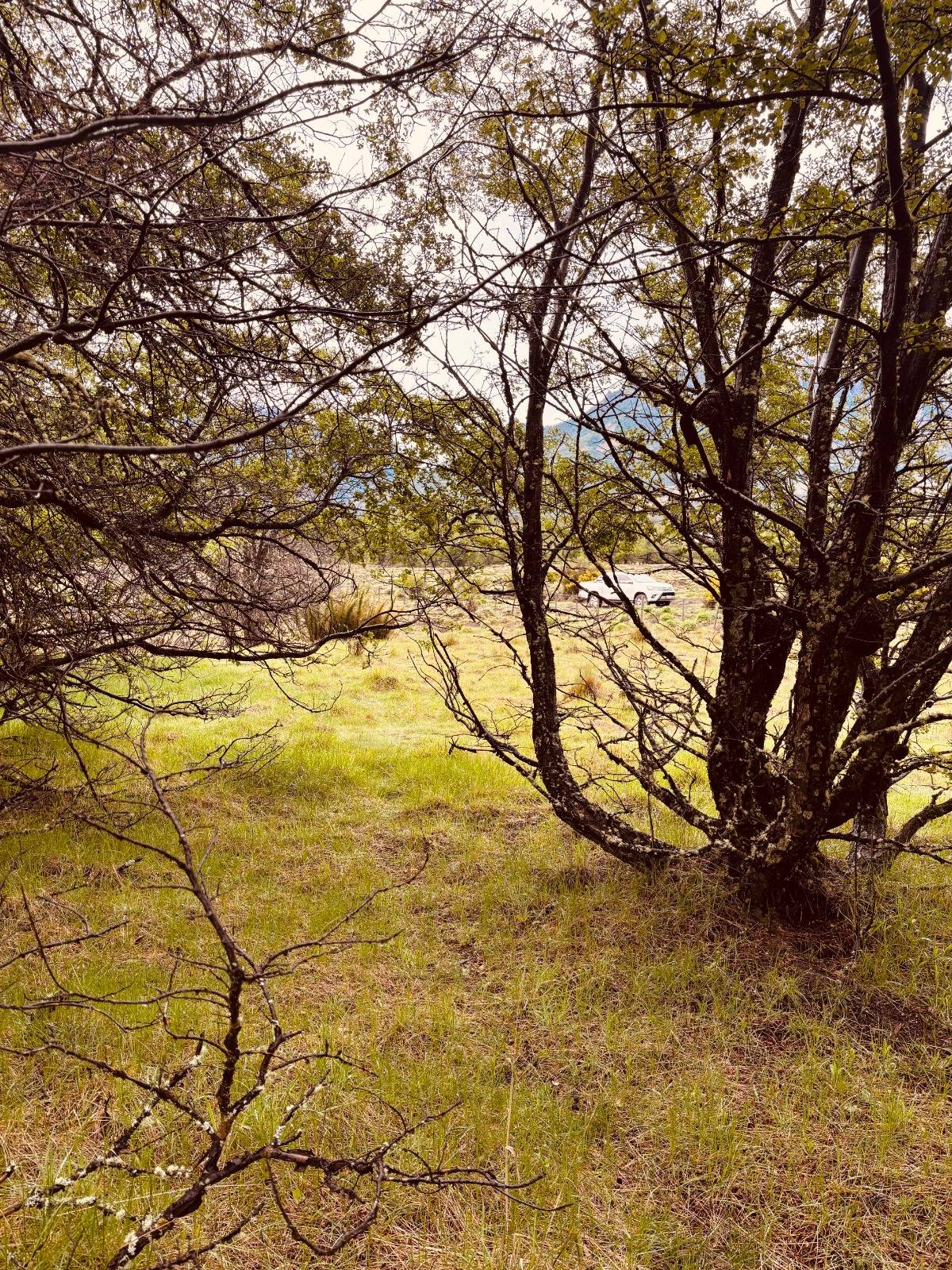 lote terreno en venta en villa meliquina san martin de los andes neuquen patagonia argentina