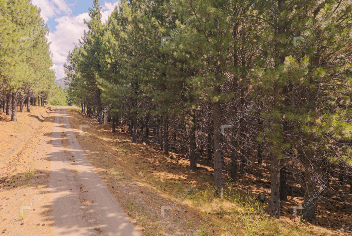 Exclusivo Lote Terreno ubicado sobre cancha de Golf en el Desafío Mountain Resort de San Martín de los Andes PATAGONIA ARGENTINA