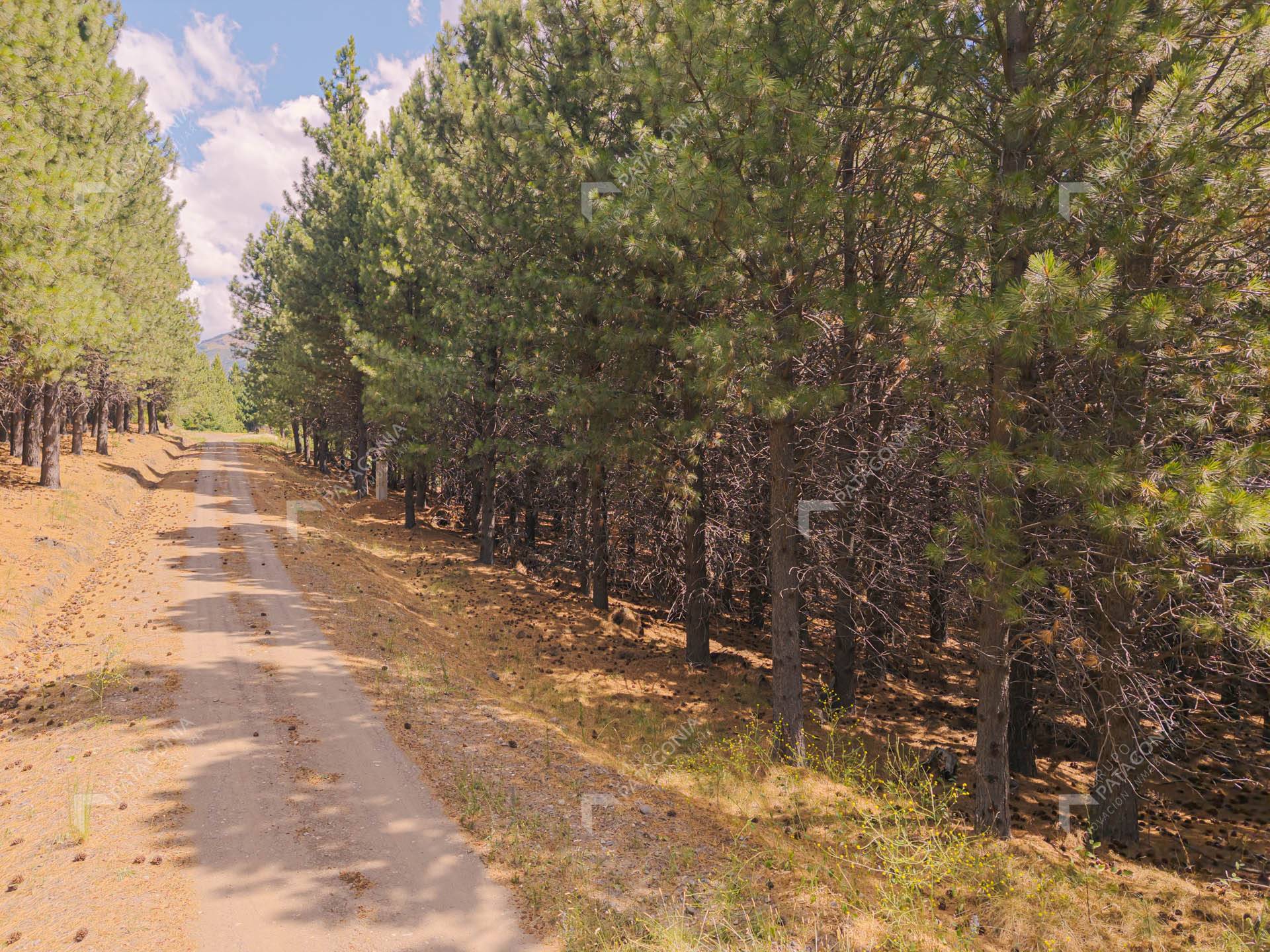 Exclusivo Lote Terreno ubicado sobre cancha de Golf en el Desafío Mountain Resort de San Martín de los Andes PATAGONIA ARGENTINA