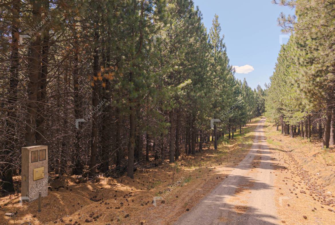 Exclusivo Lote Terreno ubicado sobre cancha de Golf en el Desafío Mountain Resort de San Martín de los Andes PATAGONIA ARGENTINA