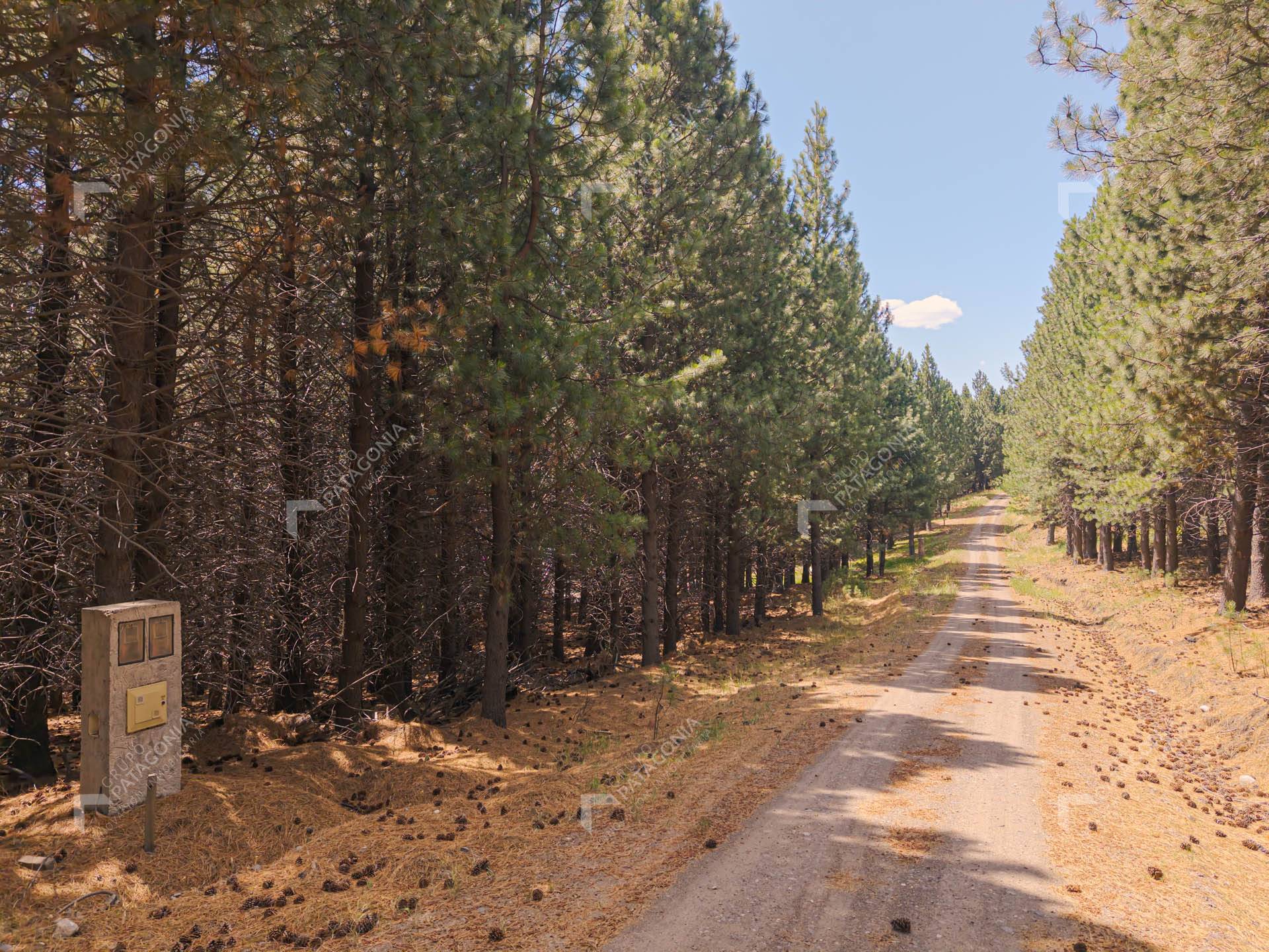 Exclusivo Lote Terreno ubicado sobre cancha de Golf en el Desafío Mountain Resort de San Martín de los Andes PATAGONIA ARGENTINA