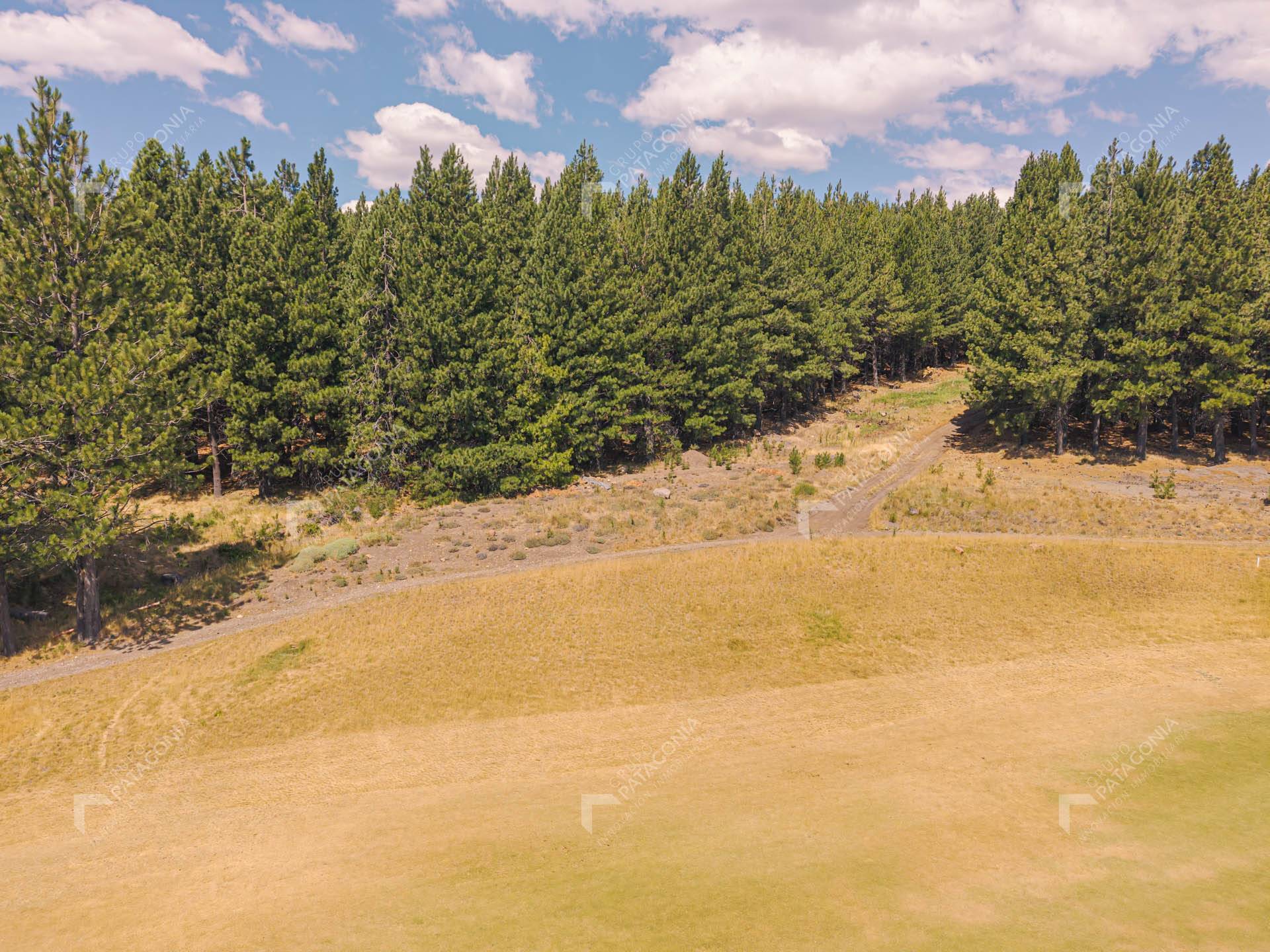 Exclusivo Lote Terreno ubicado sobre cancha de Golf en el Desafío Mountain Resort de San Martín de los Andes PATAGONIA ARGENTINA