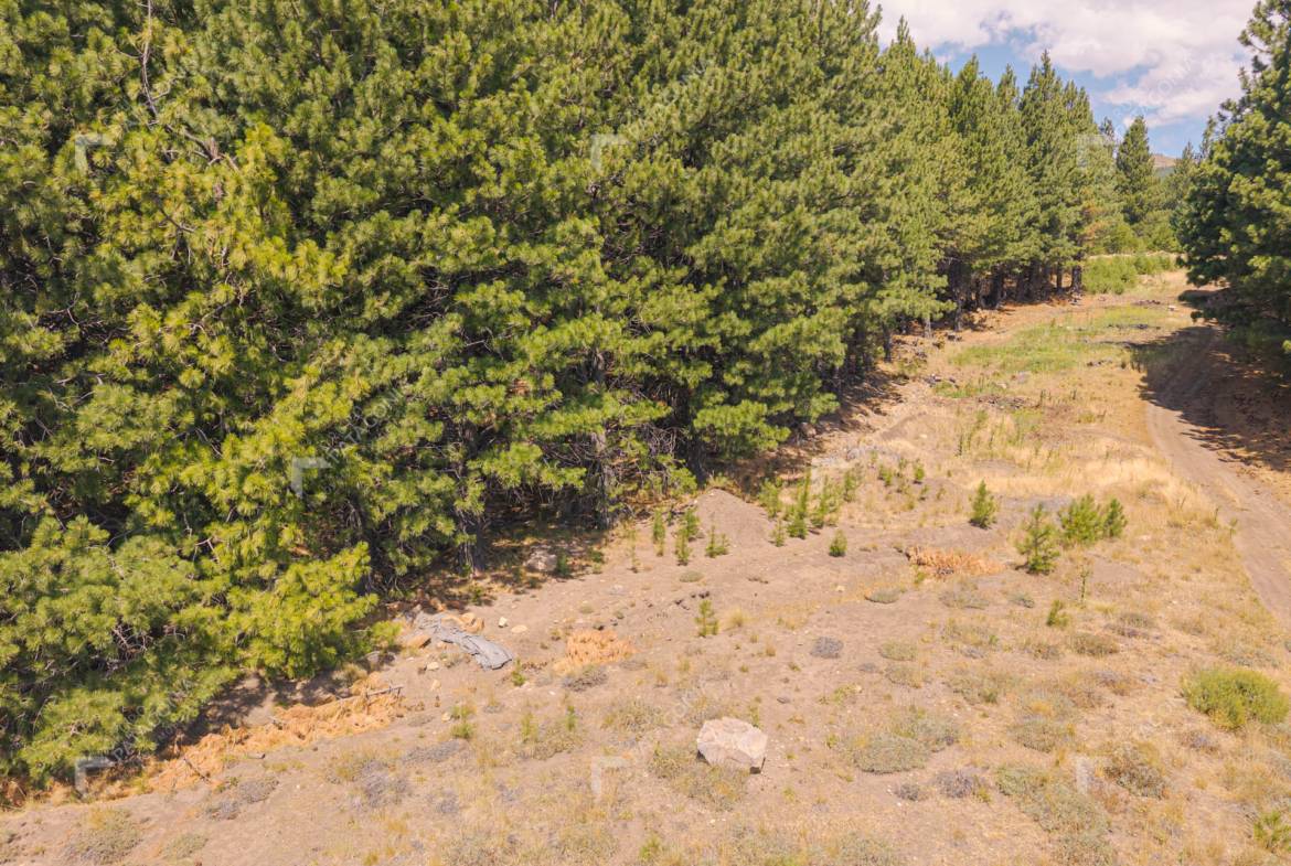 Exclusivo Lote Terreno ubicado sobre cancha de Golf en el Desafío Mountain Resort de San Martín de los Andes PATAGONIA ARGENTINA