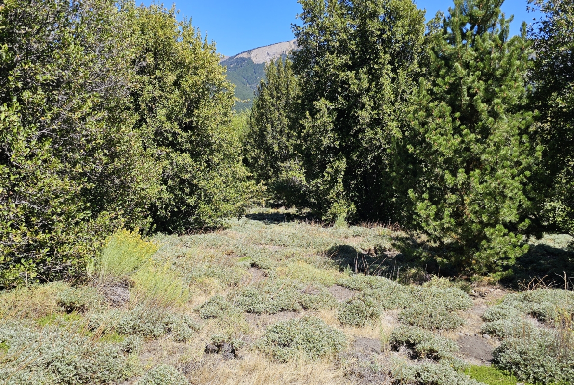 terreno en venta En Villa Meliquina Patagonia Argentina