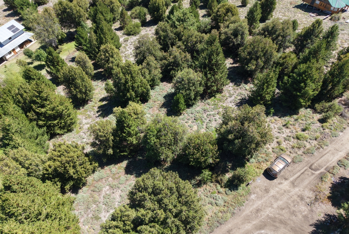 terreno en venta En Villa Meliquina Patagonia Argentina