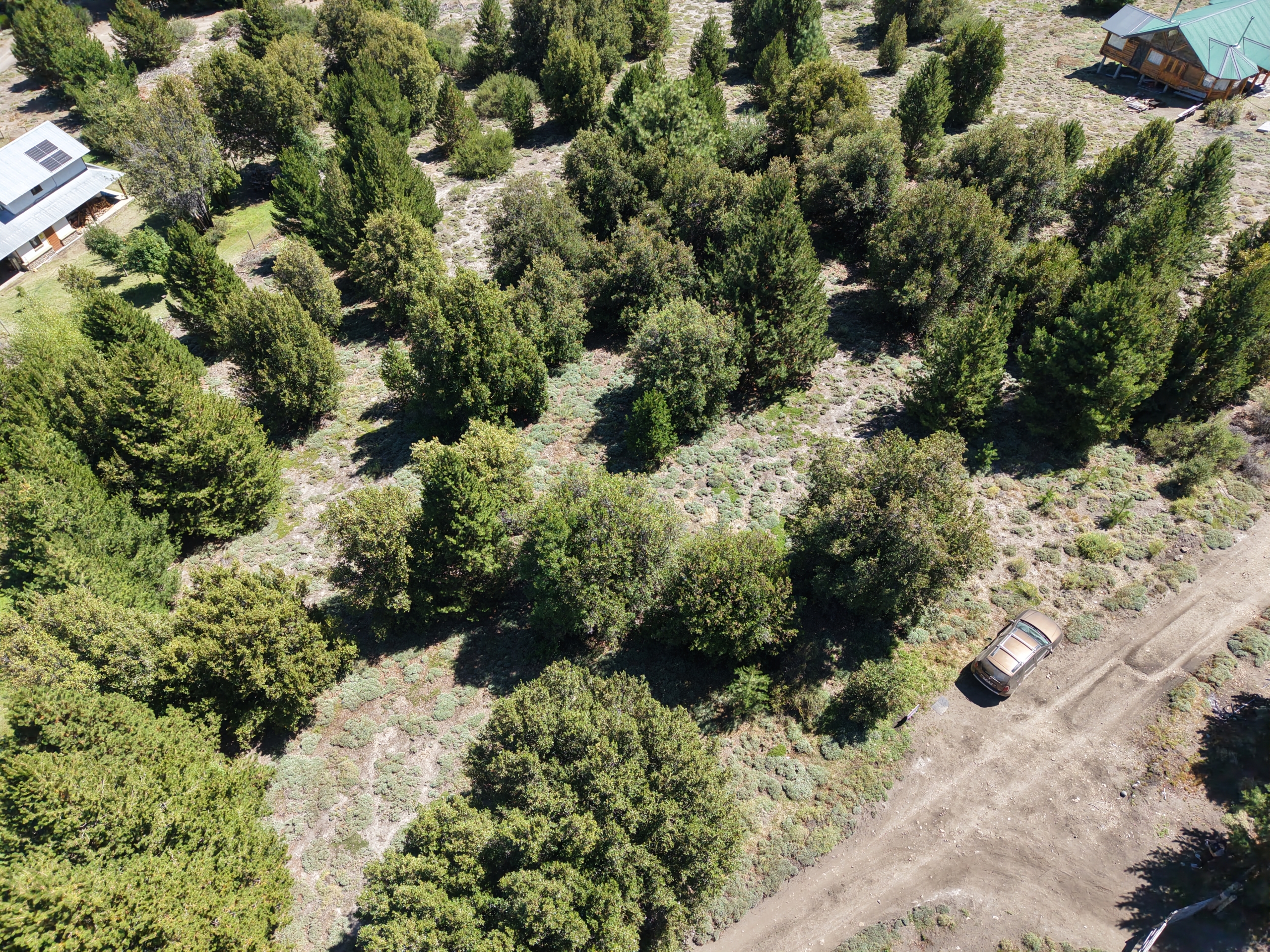 terreno en venta En Villa Meliquina Patagonia Argentina terreno en venta En Villa Meliquina Patagonia Argentina