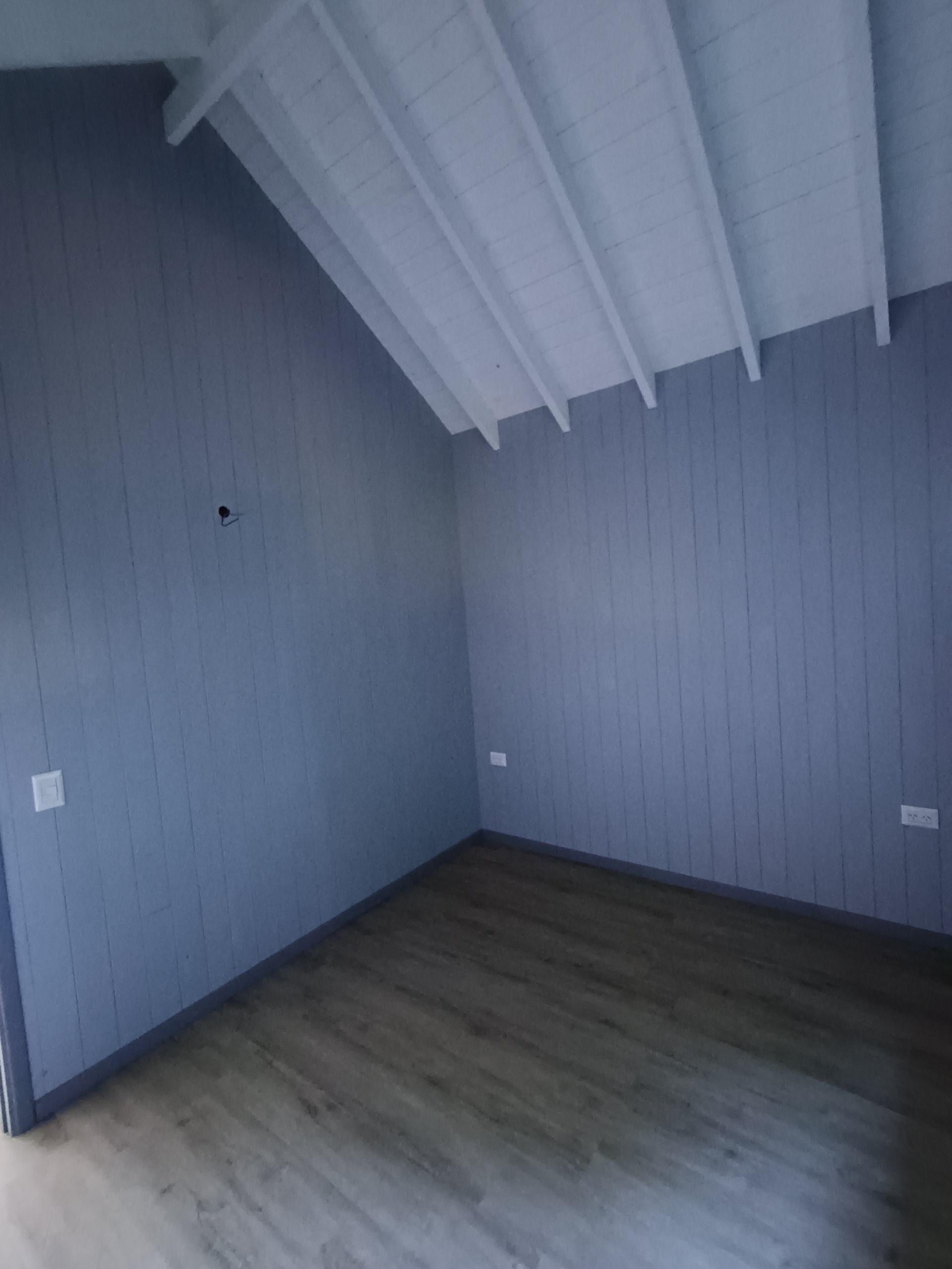 IMG_20260205_190344981