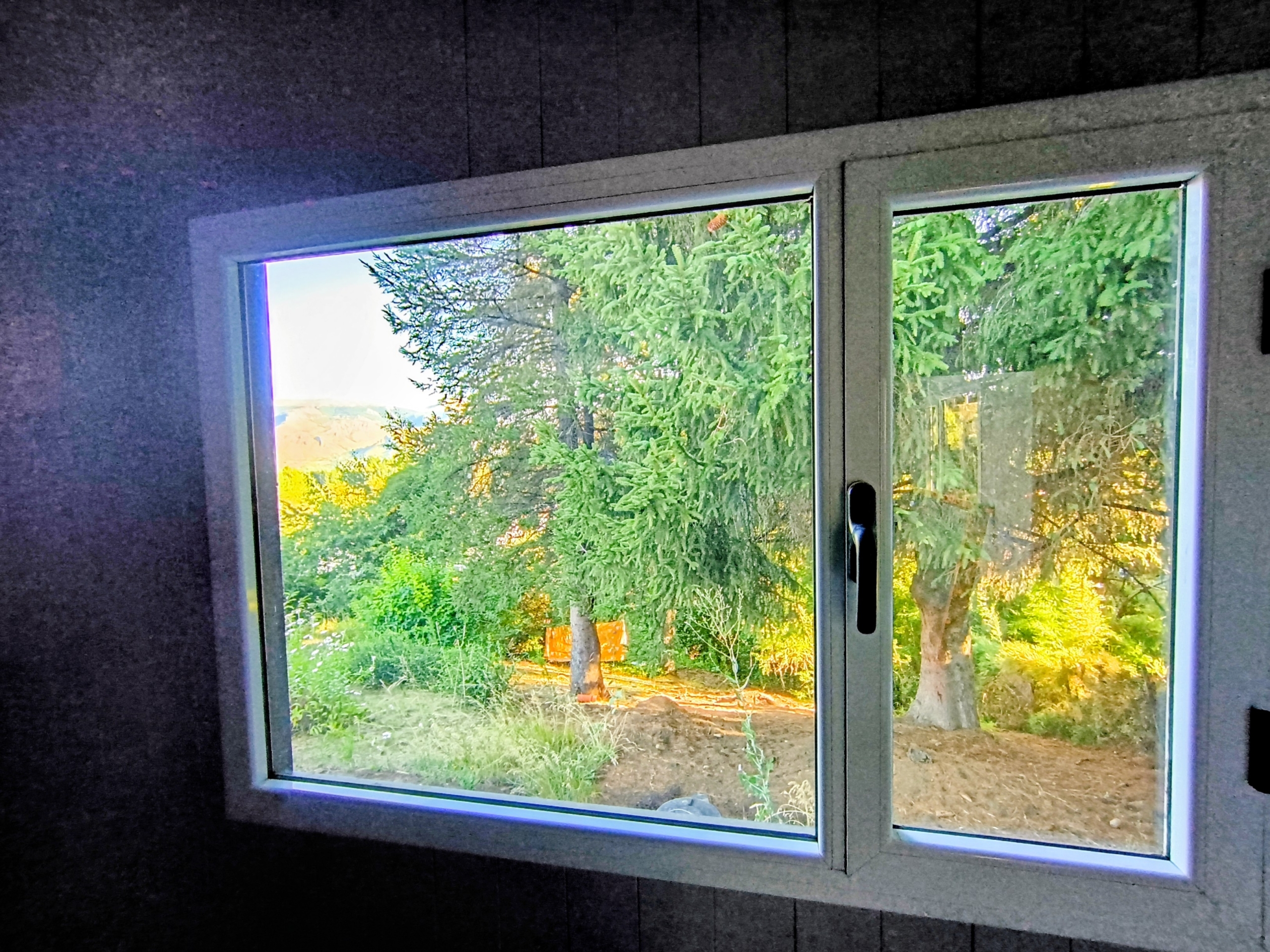 IMG_20260205_190404172_HDR~2