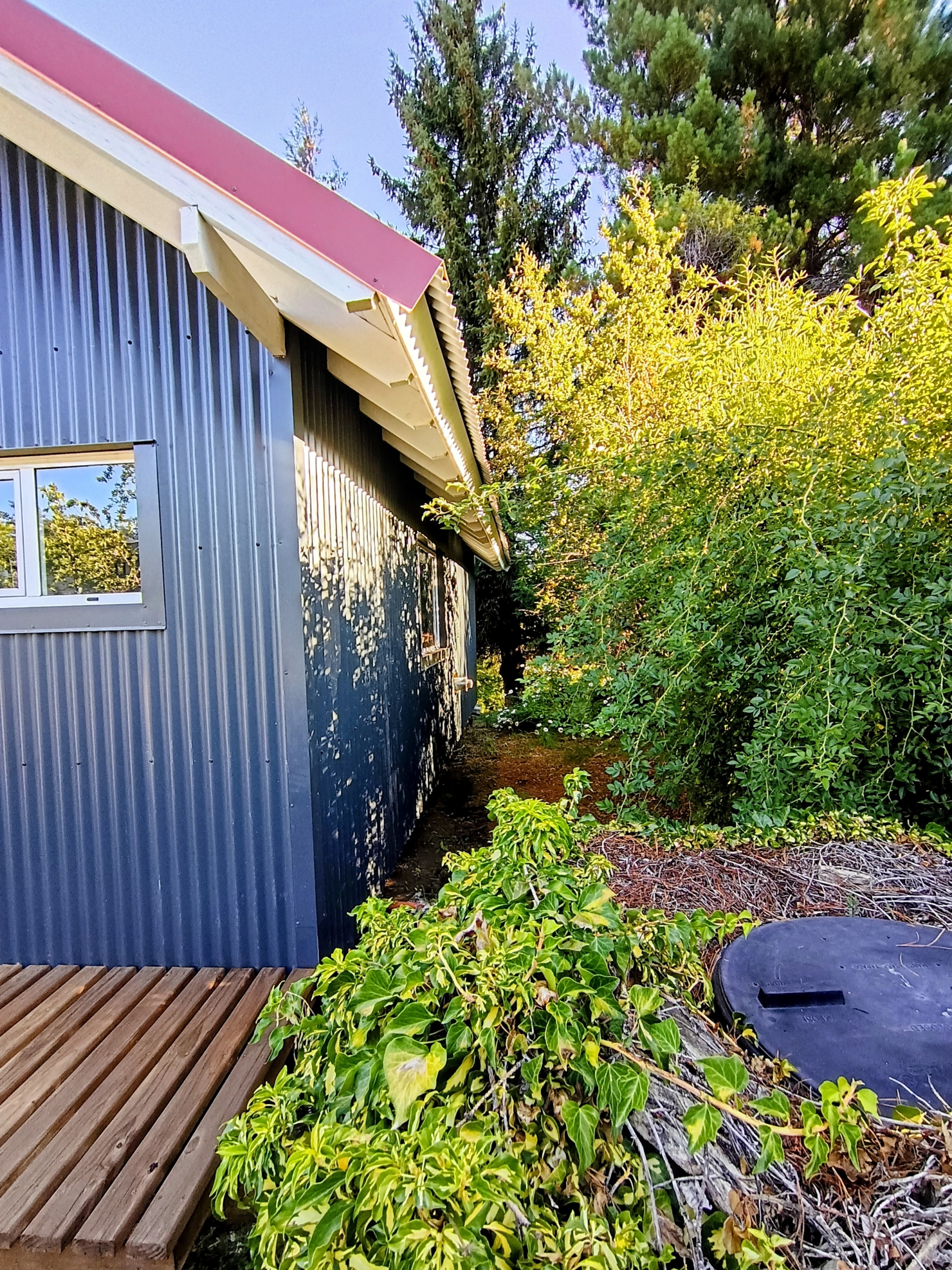 IMG_20260205_190449542_HDR~2