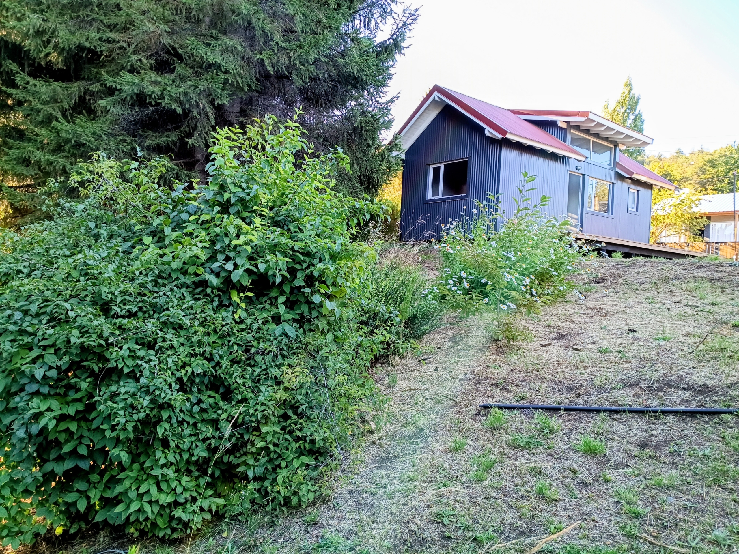 IMG_20260205_190544602~2