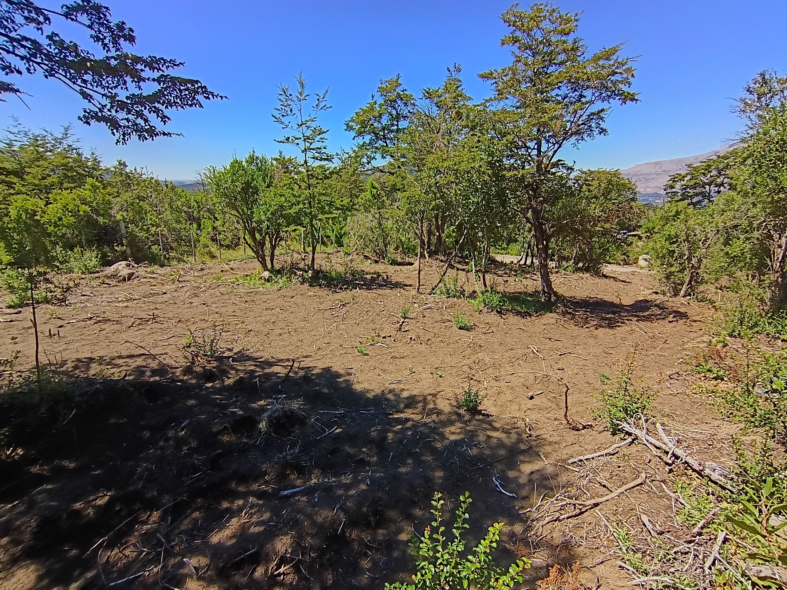 IMG_20260216_141253526_HDR