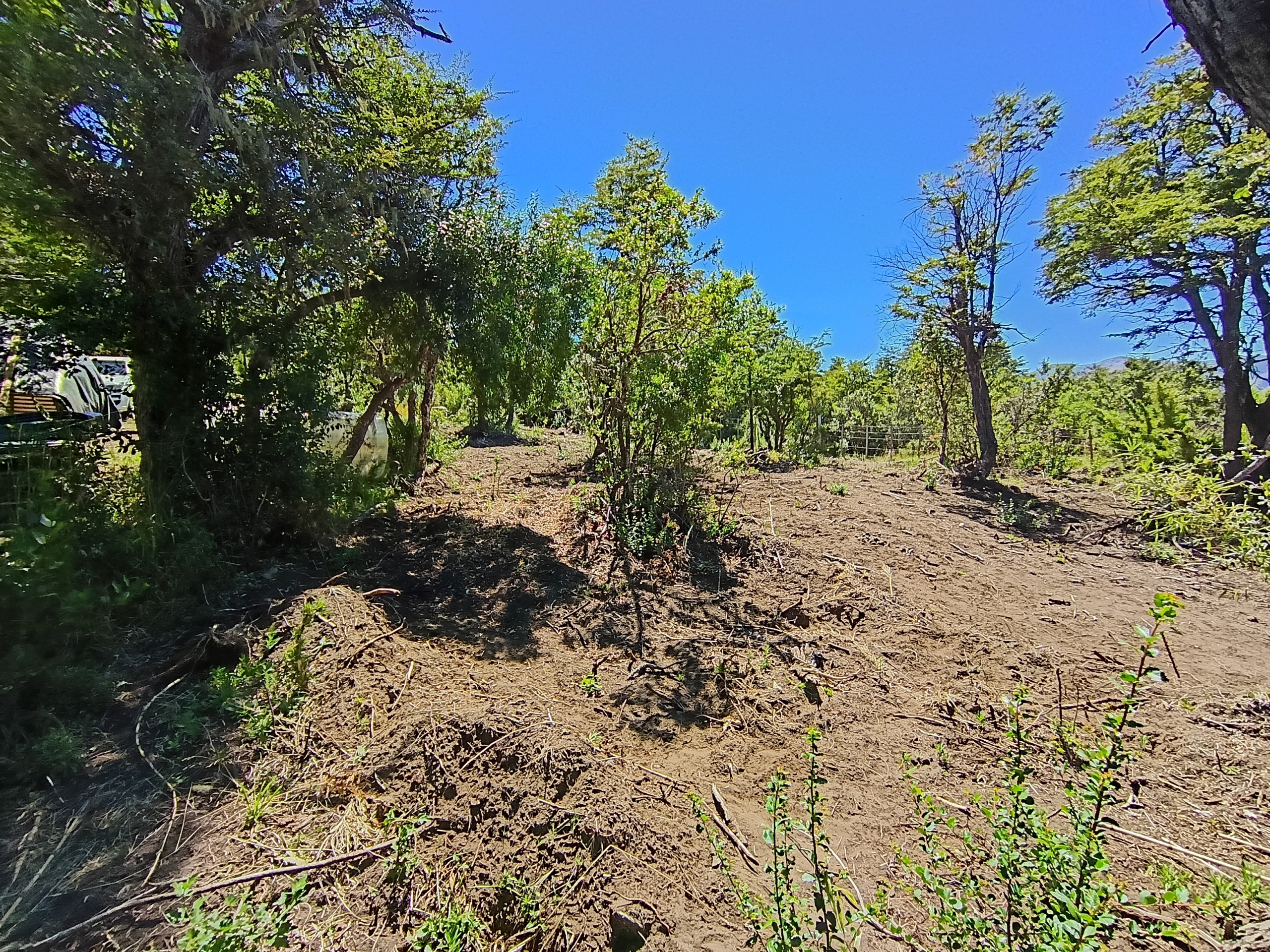 IMG_20260216_141323834_HDR