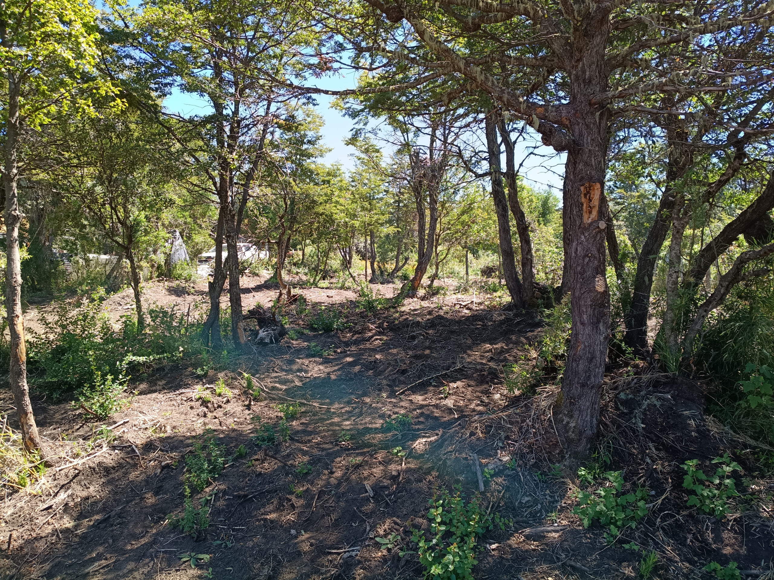 IMG_20260216_141350731