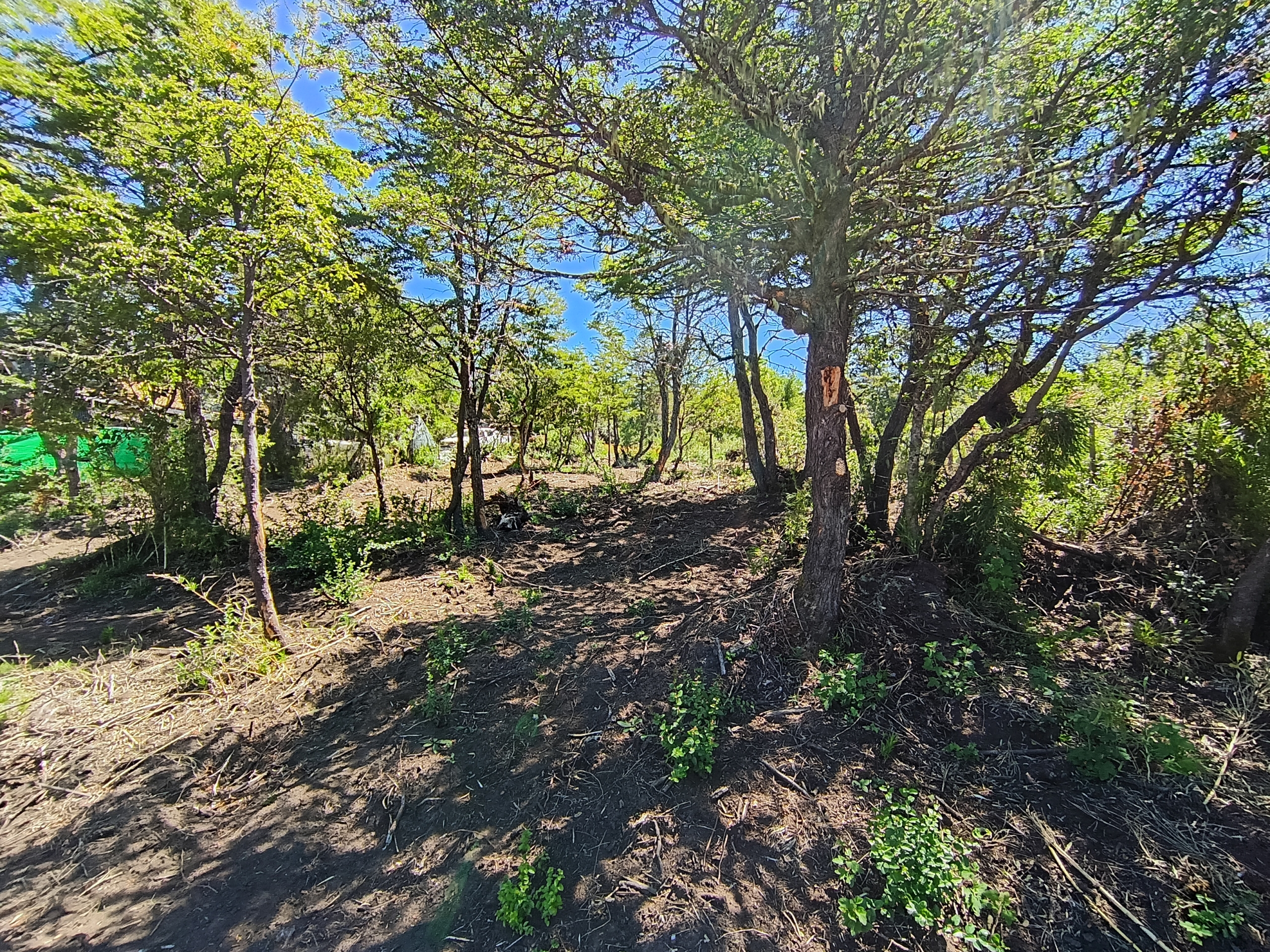 IMG_20260216_141354637_HDR