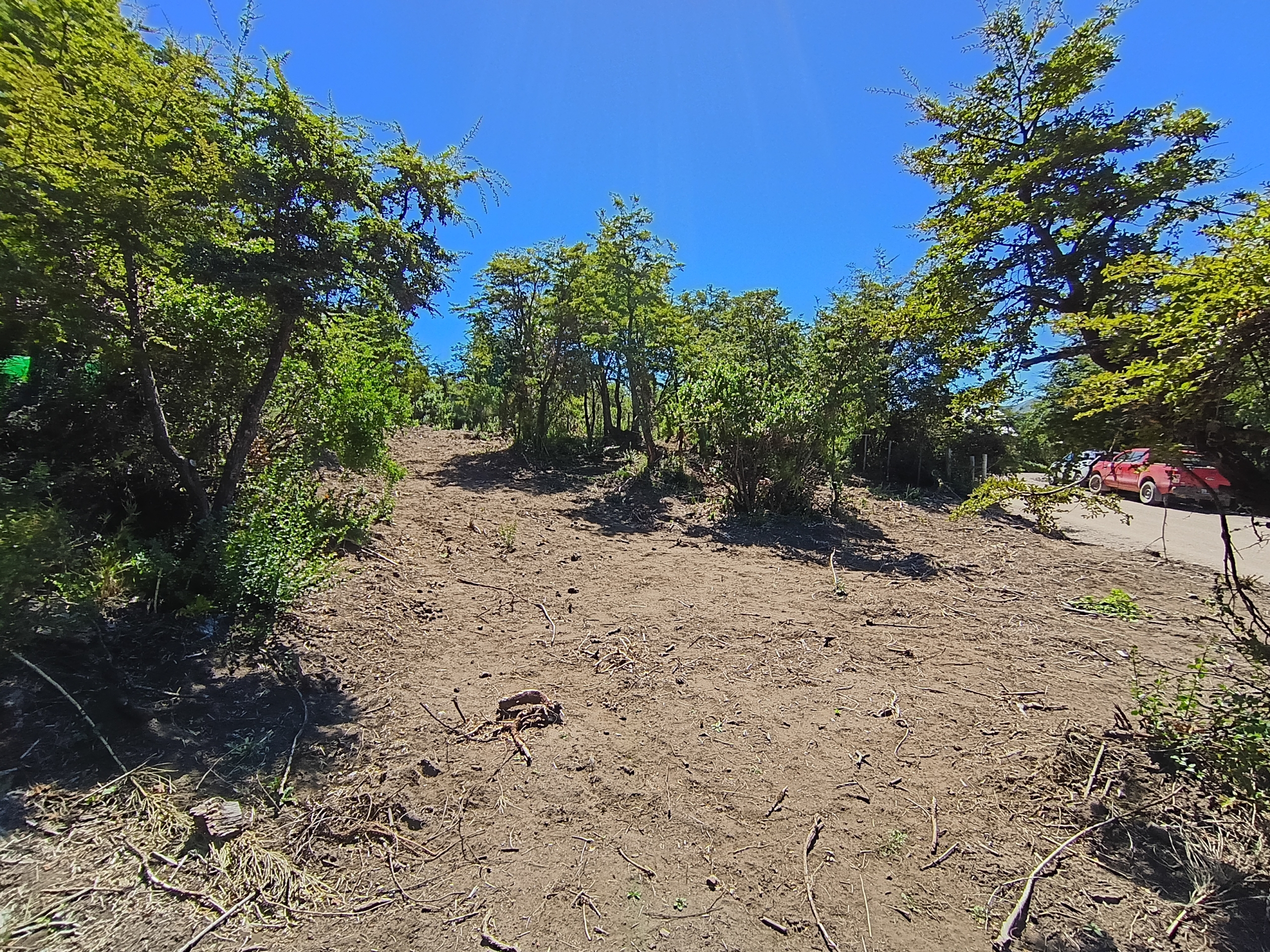 IMG_20260216_141420190_HDR