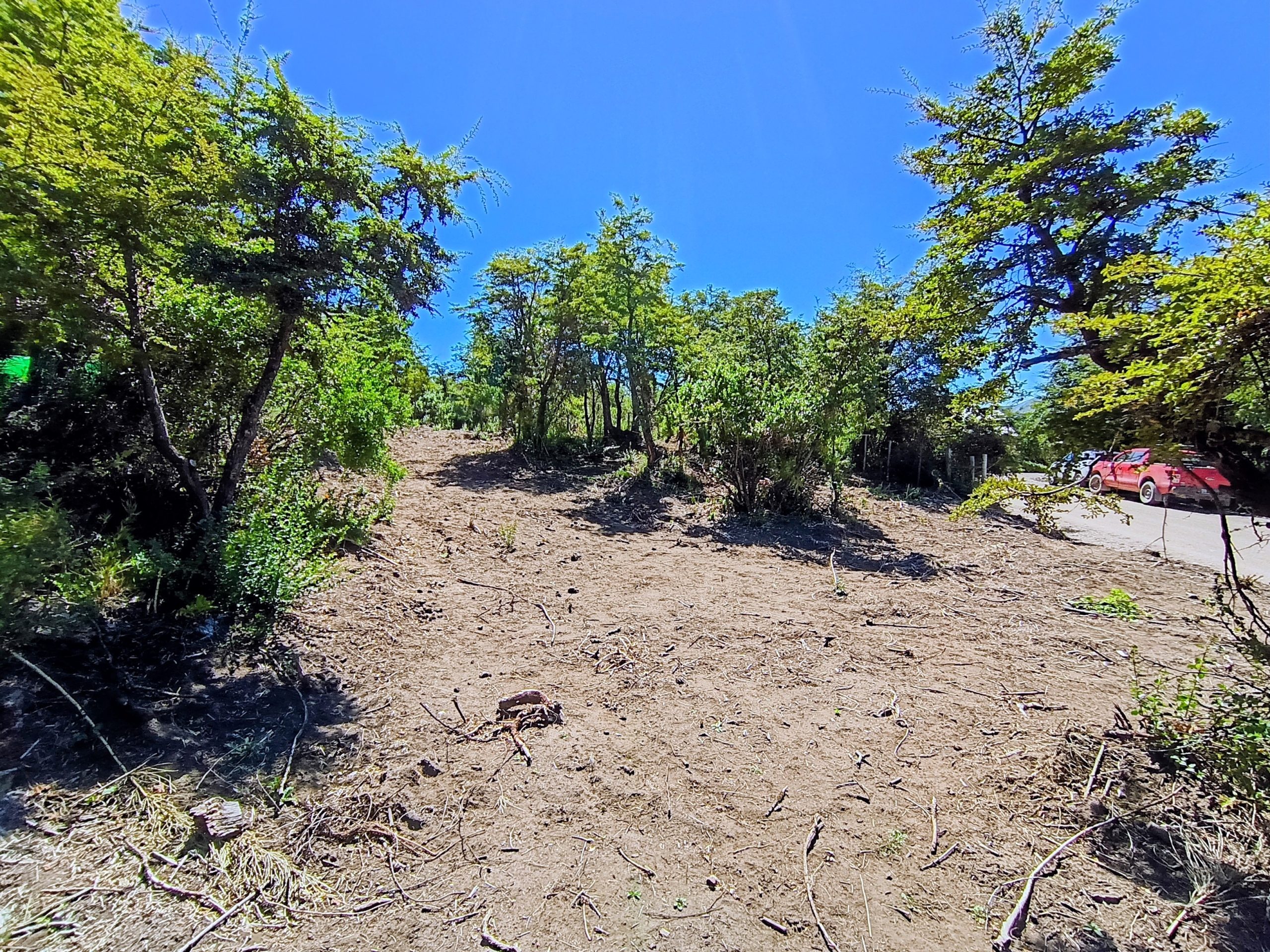 IMG_20260216_141420190_HDR~2