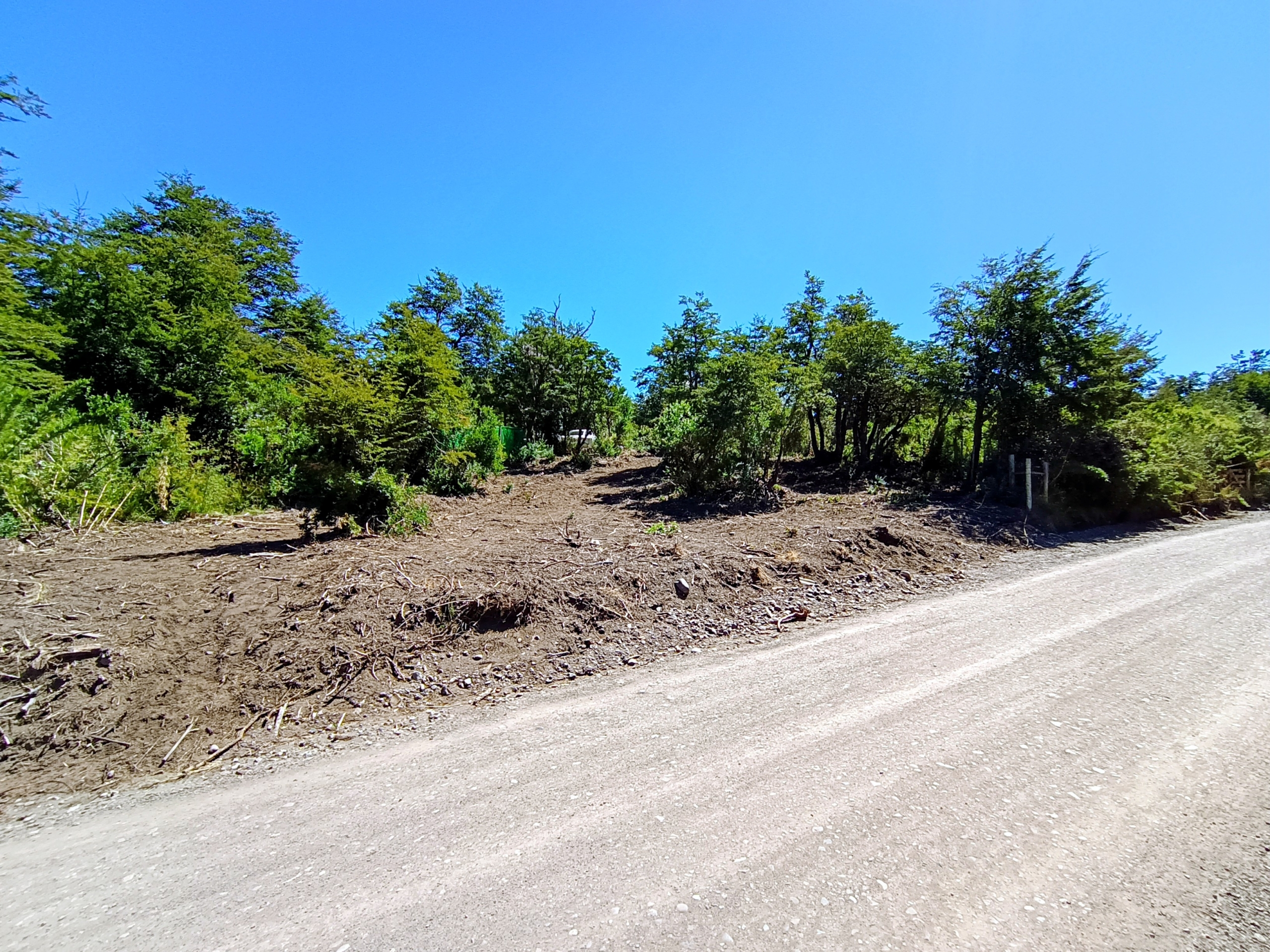 IMG_20260216_141436105~2