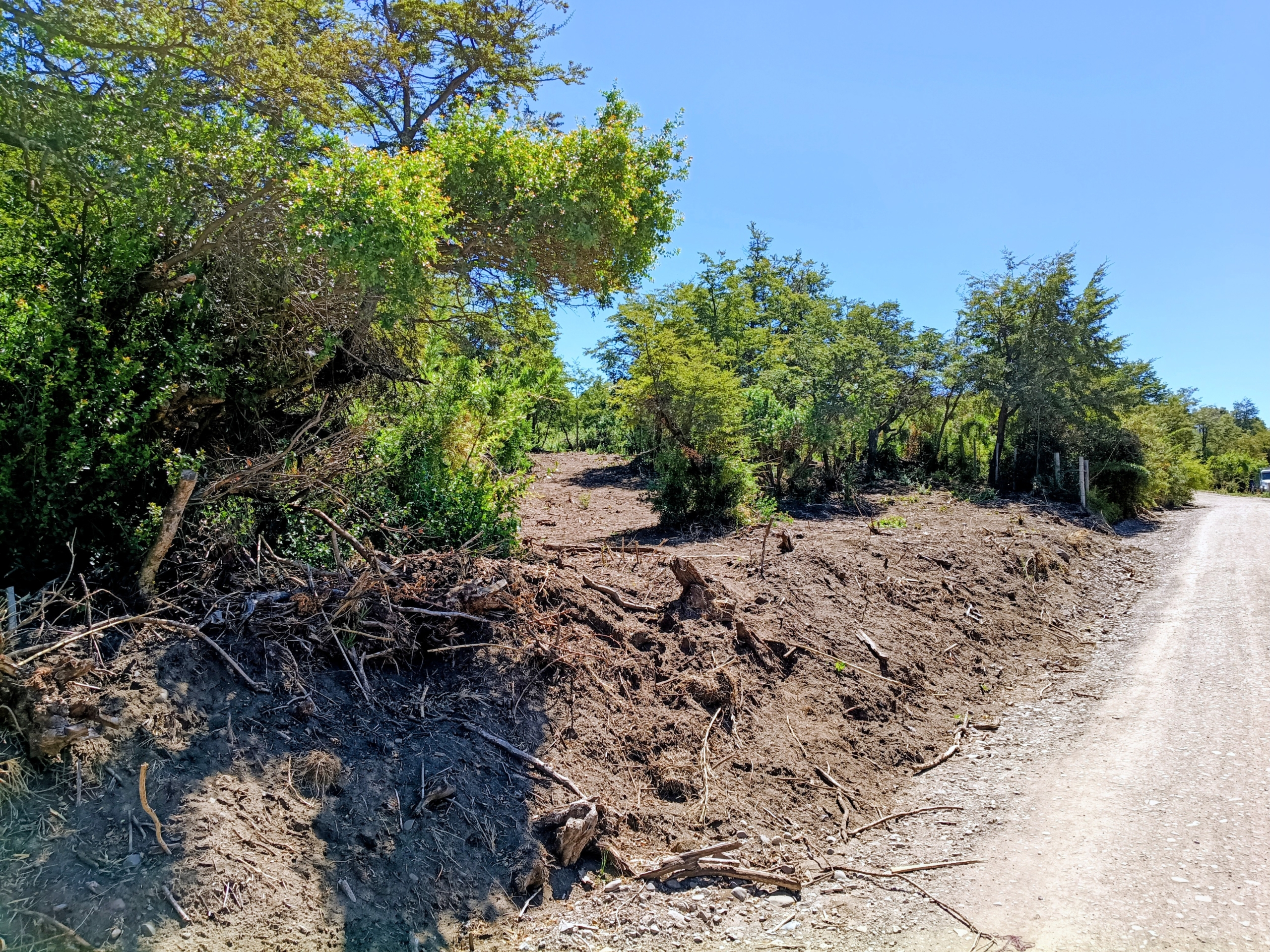 IMG_20260216_141540117~2