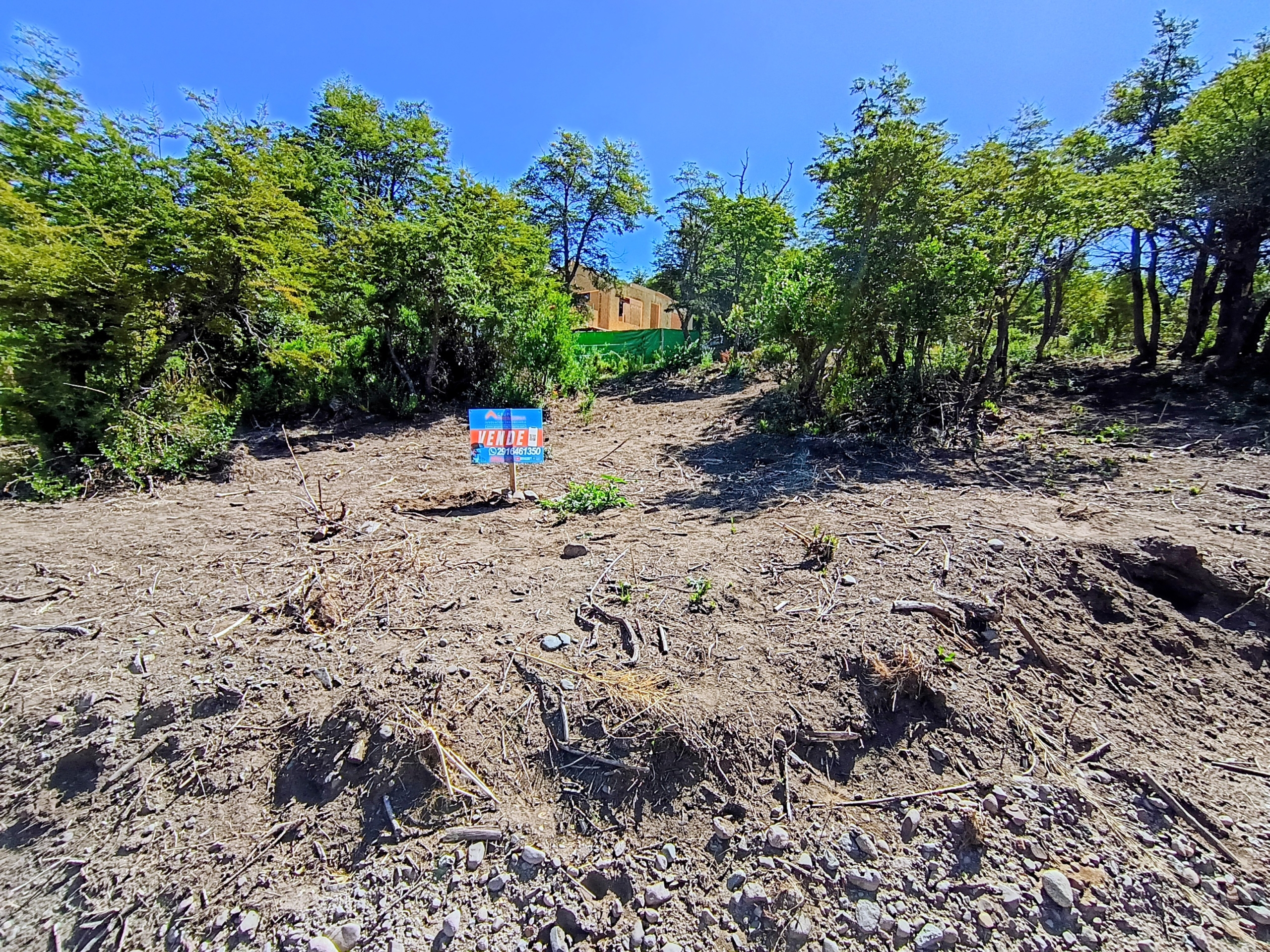 IMG_20260221_153748693_HDR~2