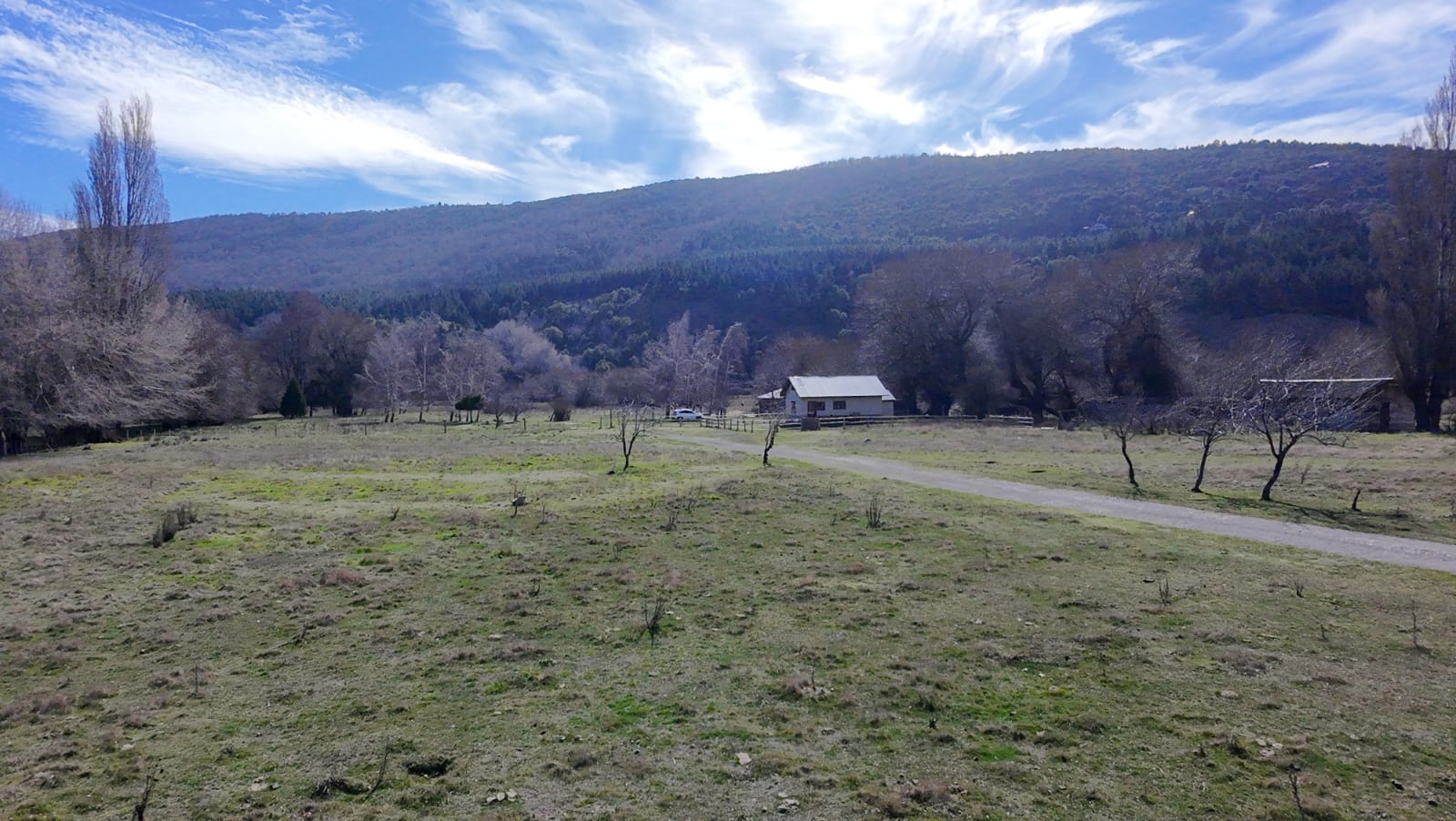 WhatsApp Image 2026-02-11 at 10.10.13