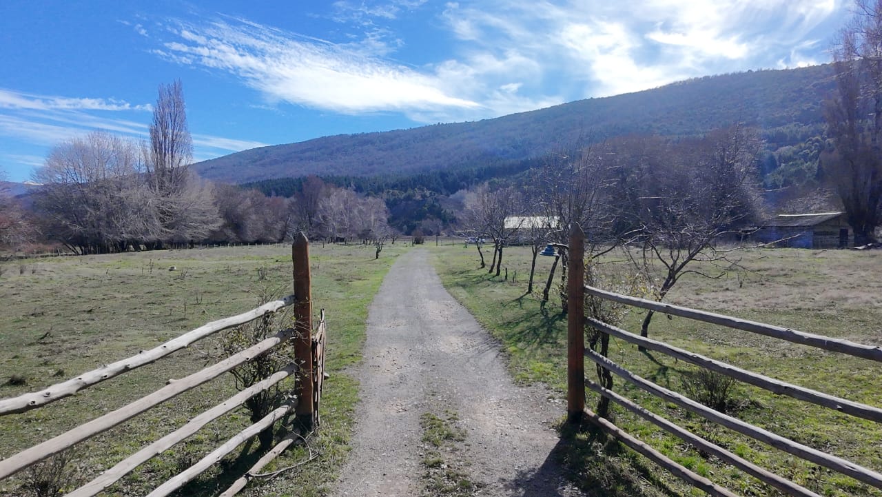 WhatsApp Image 2026-02-11 at 10.10.14