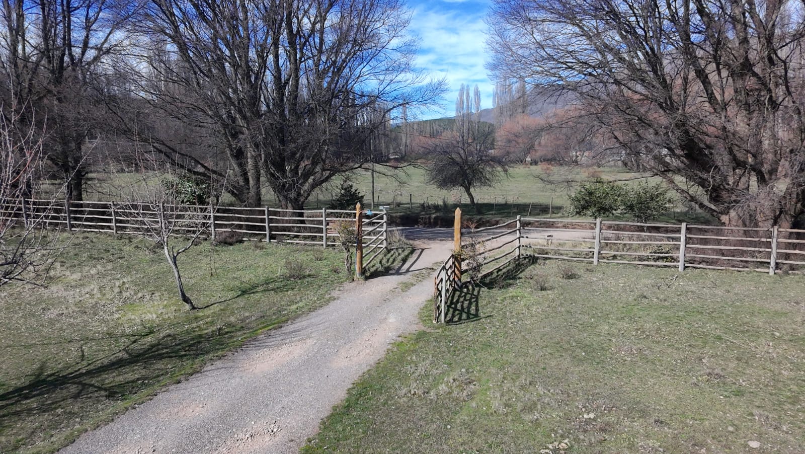 WhatsApp Image 2026-02-11 at 10.10.15 (2)