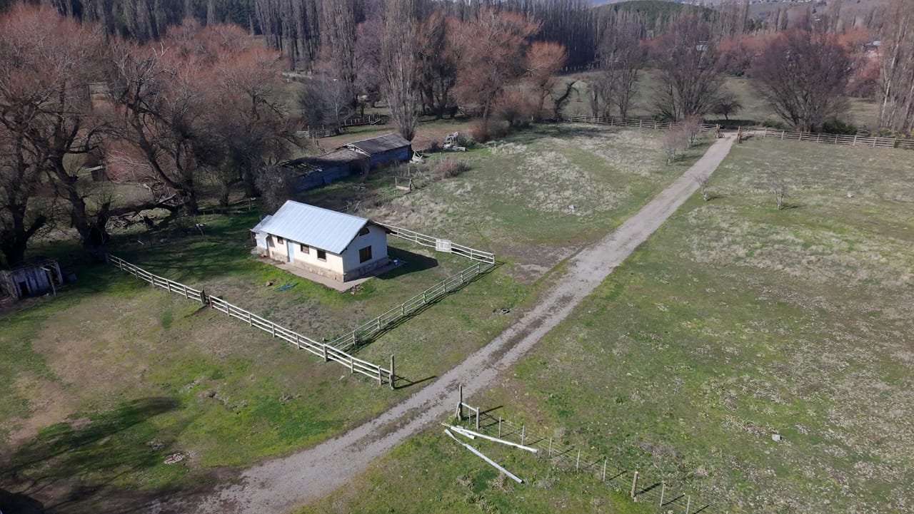 WhatsApp Image 2026-02-11 at 10.10.17