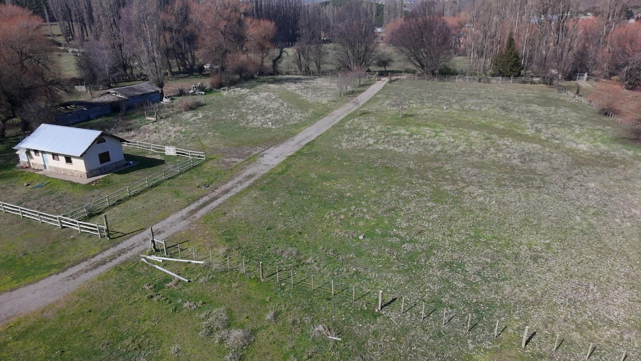 WhatsApp Image 2026-02-11 at 10.10.19 (1)