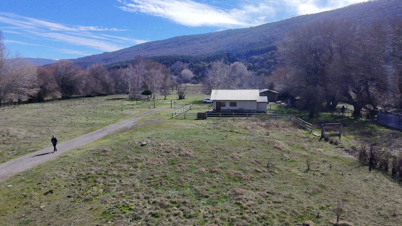 WhatsApp Image 2026-02-11 at 10.10.19