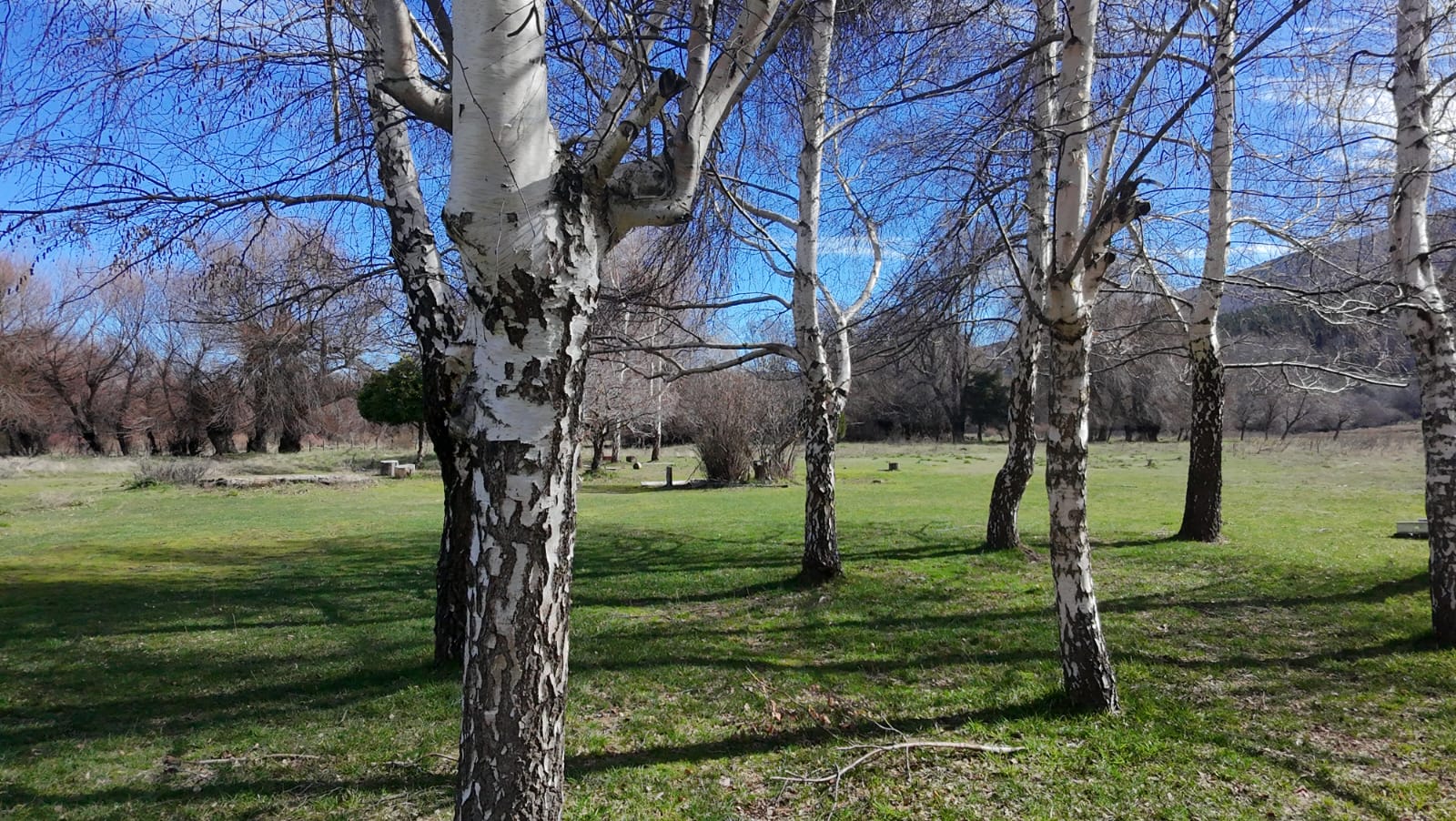 WhatsApp Image 2026-02-11 at 10.10.20 (1)