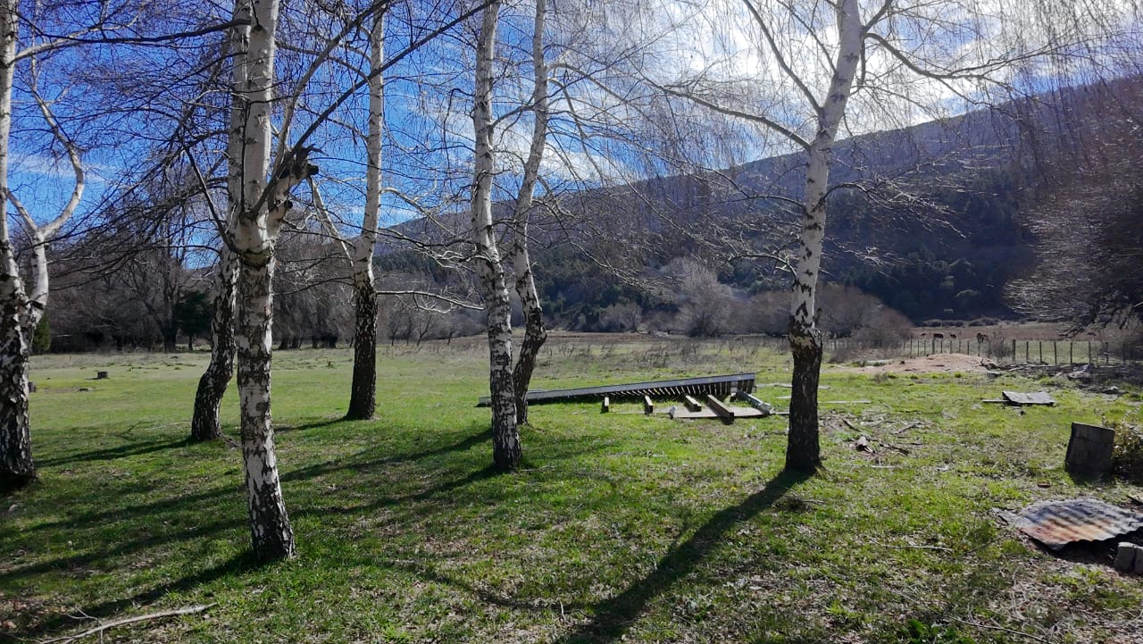 WhatsApp Image 2026-02-11 at 10.10.20