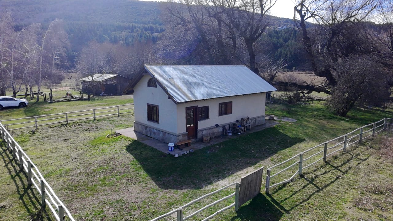 WhatsApp Image 2026-02-11 at 10.10.21 (1)