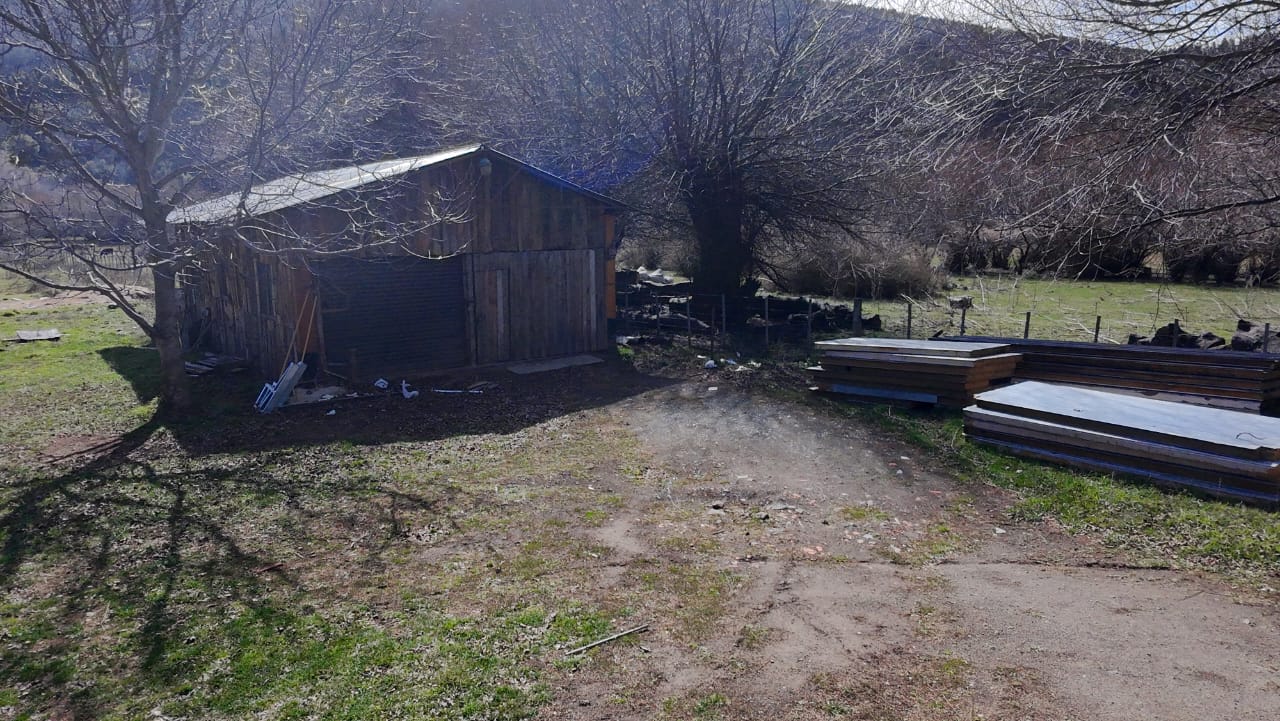 WhatsApp Image 2026-02-11 at 10.10.21 (3)