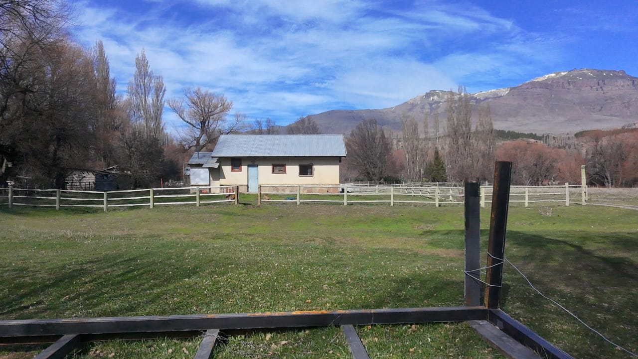 WhatsApp Image 2026-02-11 at 10.10.21