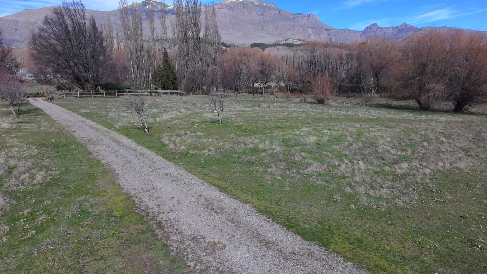 WhatsApp Image 2026-02-11 at 10.10.22