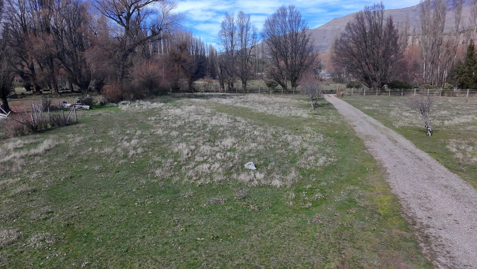 WhatsApp Image 2026-02-11 at 10.10.23