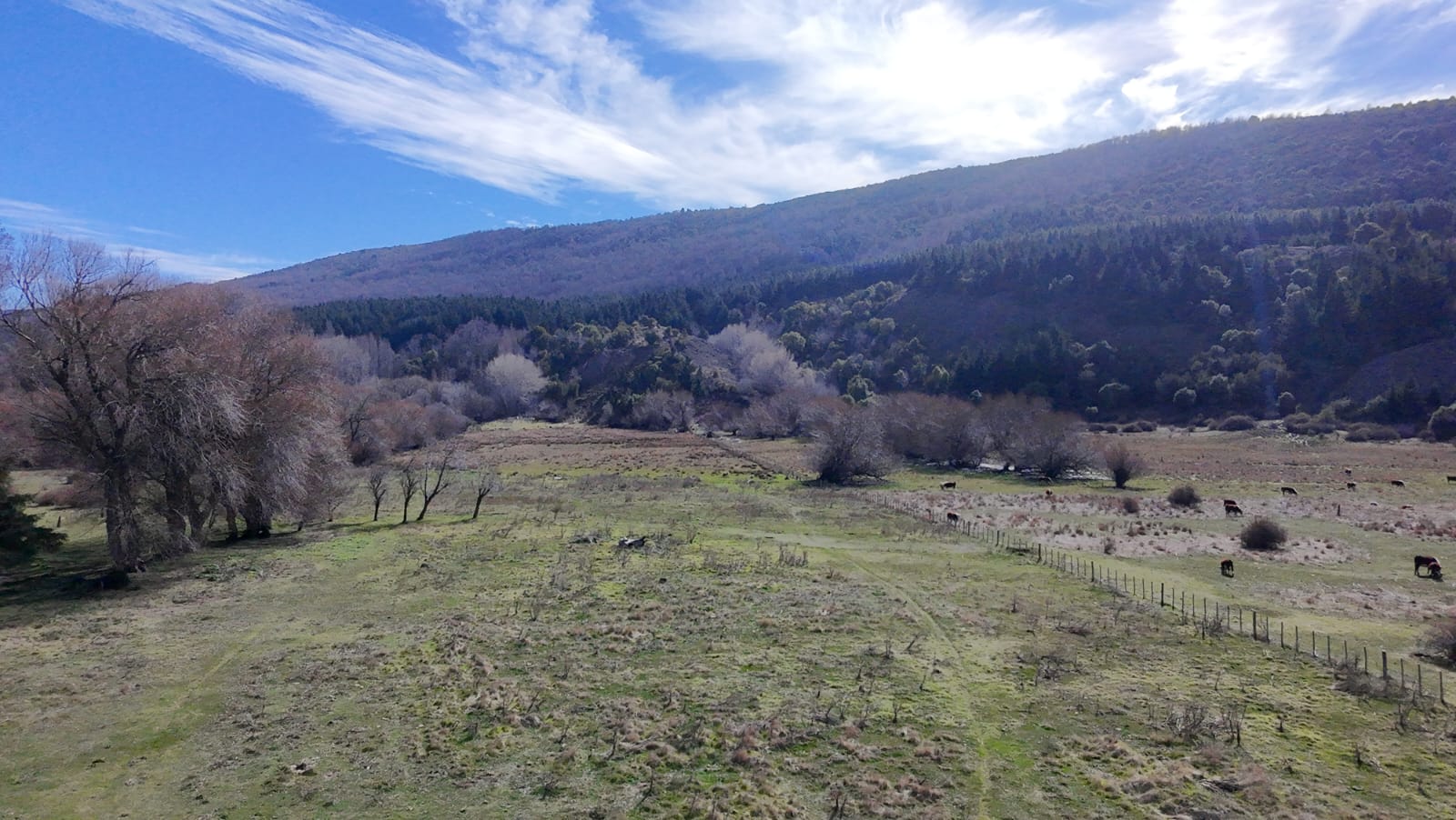 WhatsApp Image 2026-02-11 at 10.10.24 (3)