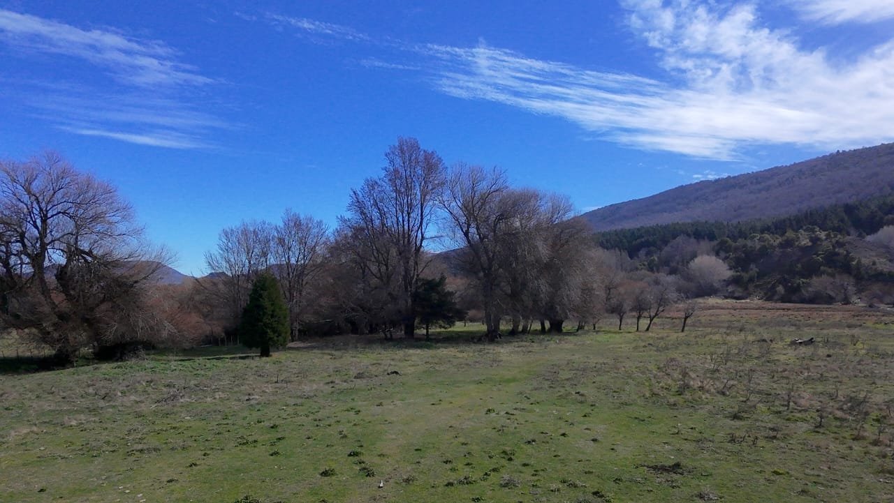 WhatsApp Image 2026-02-11 at 10.10.24