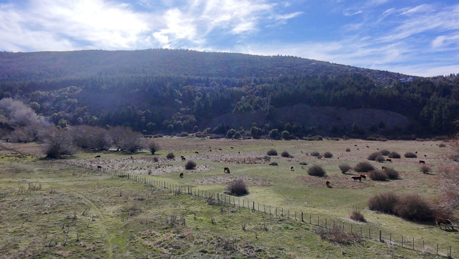 WhatsApp Image 2026-02-11 at 10.10.25