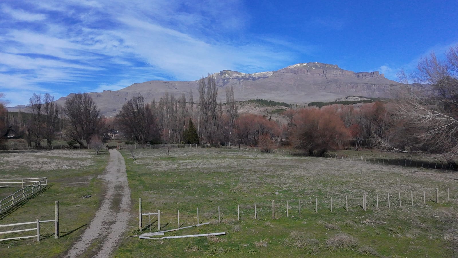 WhatsApp Image 2026-02-11 at 10.10.26