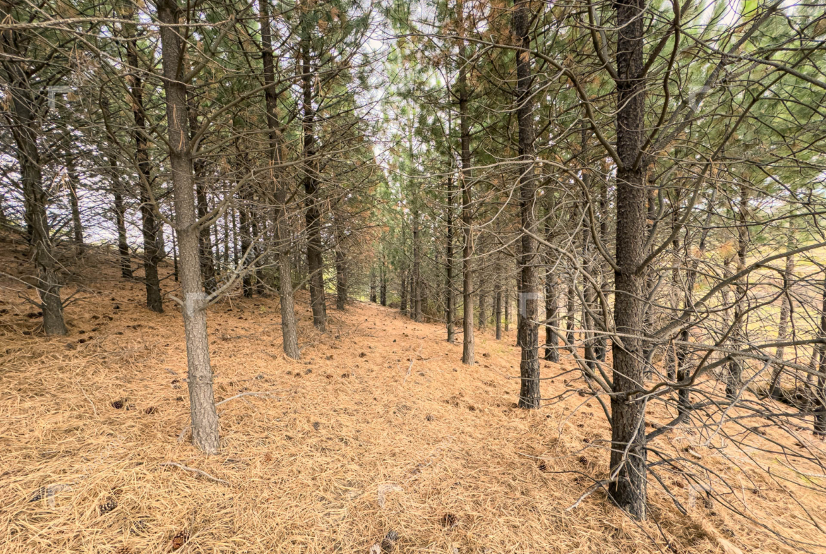 lote terreno en venta en paraje chapelco grande frente a las marias del valle san martin de los andes neuquen patagonia argentina