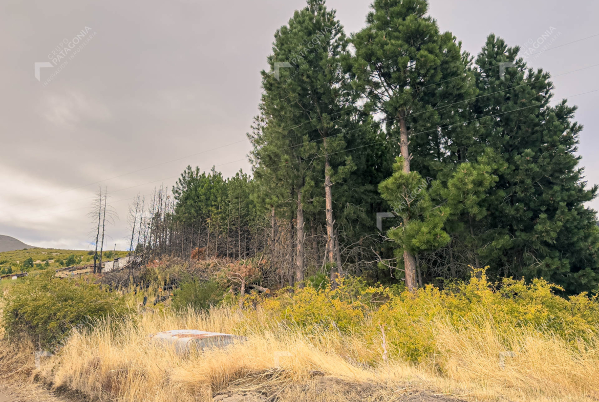 lote terreno en venta en paraje chapelco grande frente a las marias del valle san martin de los andes neuquen patagonia argentina